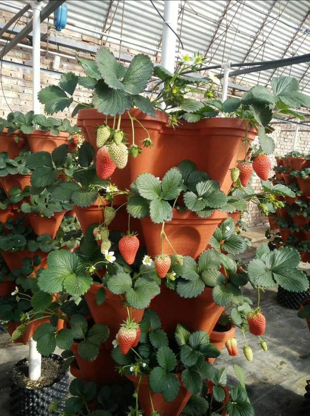 5-Tier Strawberry and Herb Garden Planters 5@13x13x5.2 inch - 24 quart Stackable Gardening Pots with 10 Inch Saucer (Terra-Cotta)