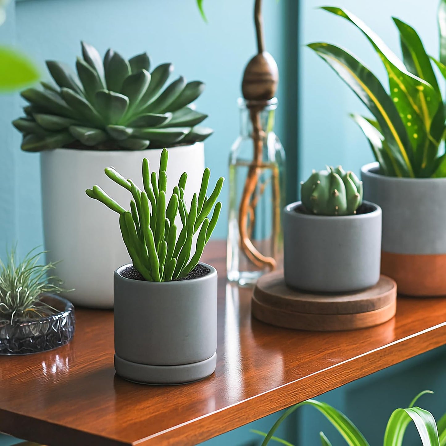 D'vine Dev 3.5 Inch & 4.7 Inch Ceramic Planter Pots for Plants with Drainage Hole and Saucer, X-Small Plant Pots Set, Speckled Grey, 94-G-XS-3