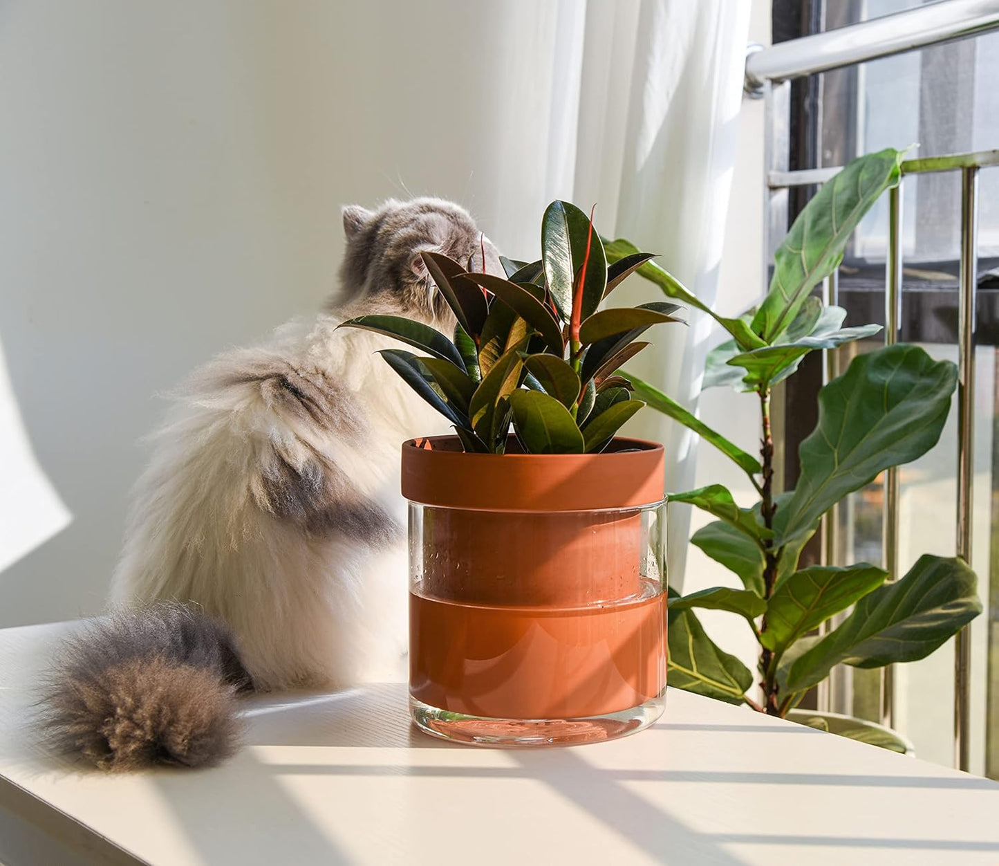 Phoenix Vine 6 Inch Self Watering Planter Pot, Terracotta Clay Pot with Glass Reservoir for Indoor Plants, Herbs, Flowers, Set of 1, 52-A-F-1