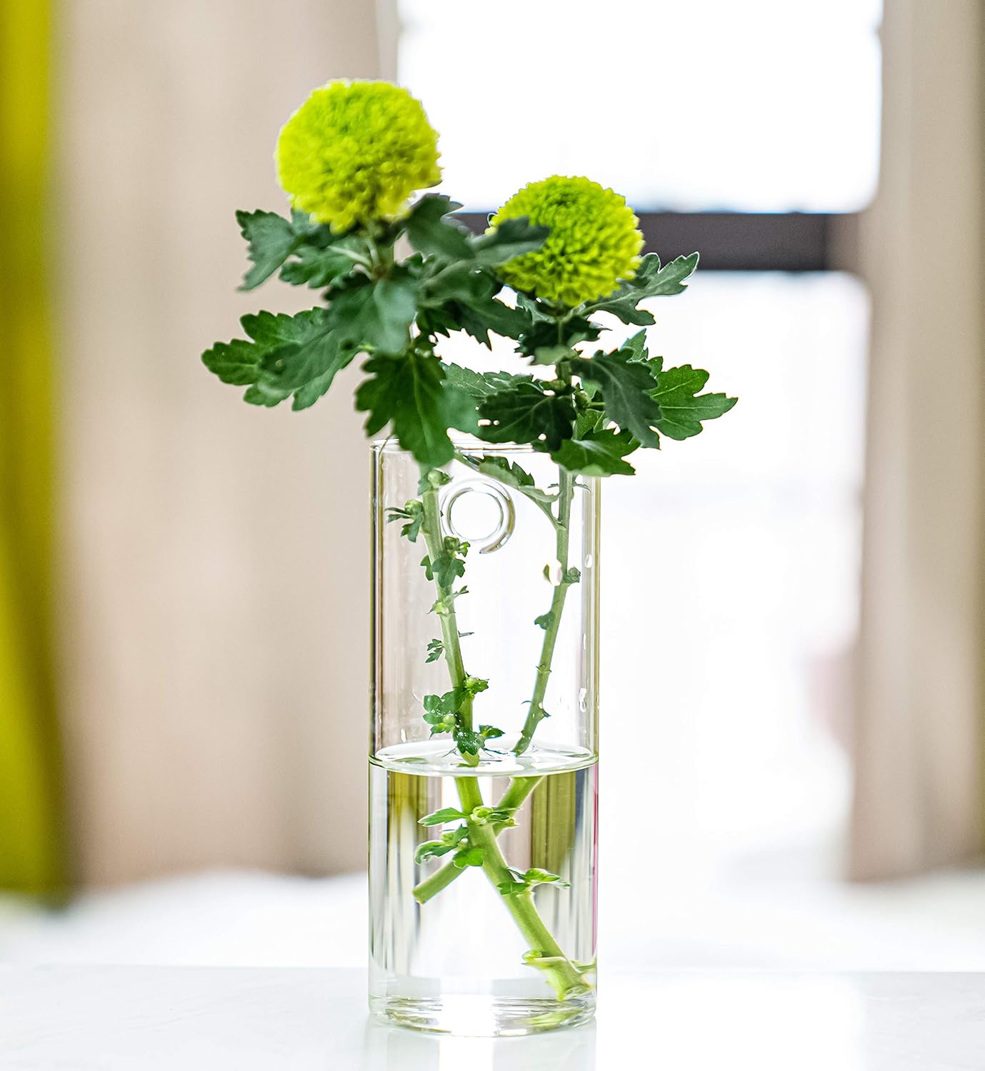 Kingbuy Glass Tube Wall Planter Propagation Station - 2 Pack Terrarium Cylinder Wall Vase with Plant Holder Hydroponic Planter for Home Kitchen Office Decor, Perfect Plant Lover Gifts (Short Cylinder)