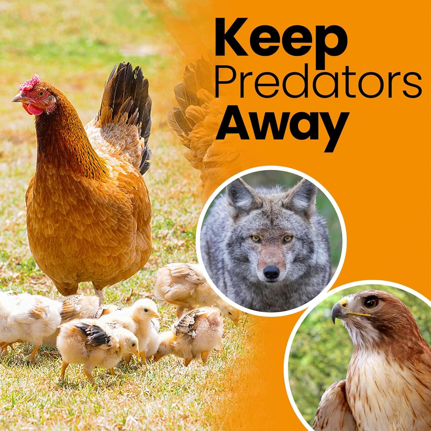 Heavy Duty Bird Netting for Chicken Coops & Runs | Tree & Garden Netting Mesh 1-1/2" | Keep Hawks, Birds & Predators Away | Bird Netting for Blueberry Bushes, Vegetables & Fruit (50' x 150')