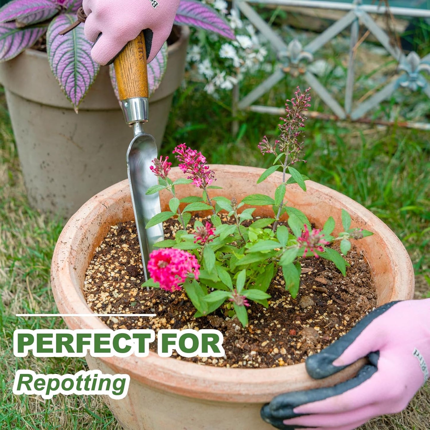 Haliaeetus Seeding Widger, Stainless Steel Garden Planting Trowel for Repotting, Long and Narrow Widger for Weeding from Tight Areas, Hand Transplanter with Wood Handle for Planting, Weeding, Digging