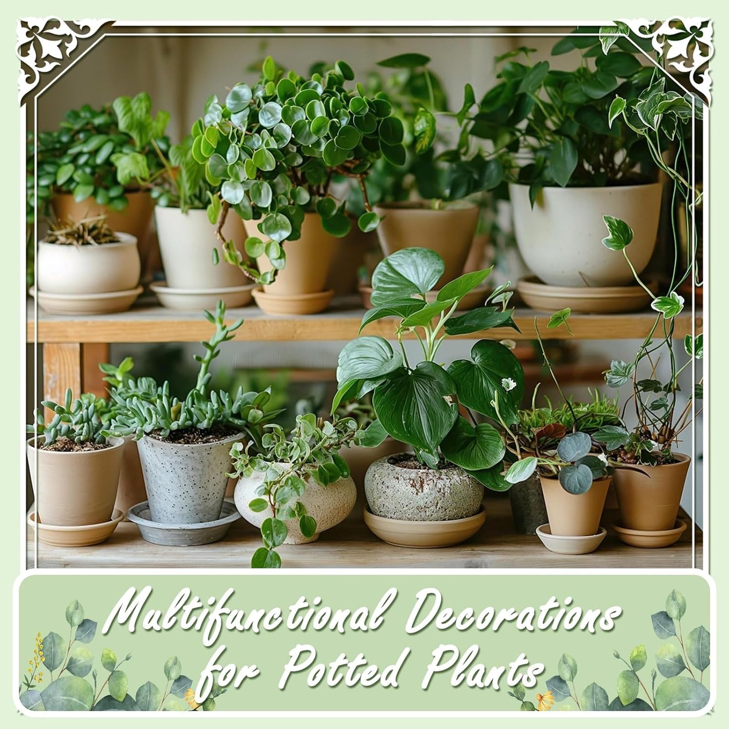 5lbs Black Natural River Rocks, High-Polished Pebbles for Plants Garden, 0.3-0.8 inch Decorative Stones, Ideal for Fish Tank, Vases, Home Decor and Garden Landscaping,Black