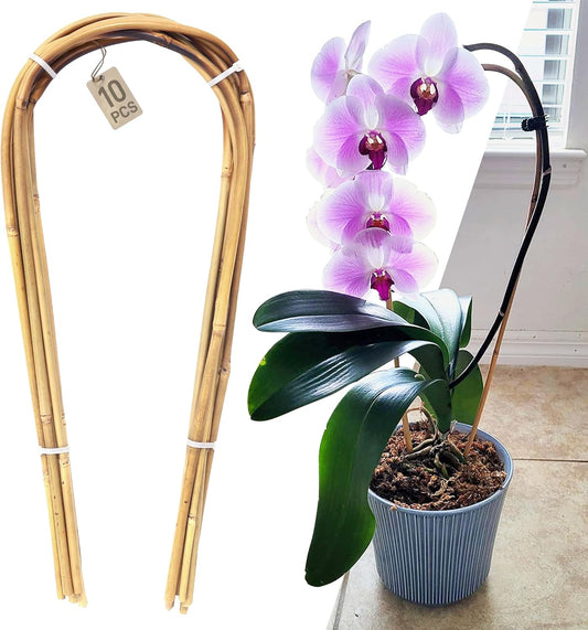 Avalution 16" Natural Bamboo Plants Trellis U-Hoop,Bamboo Gaeden Trellis U-Shape for Climbing Plant Support-10PCS