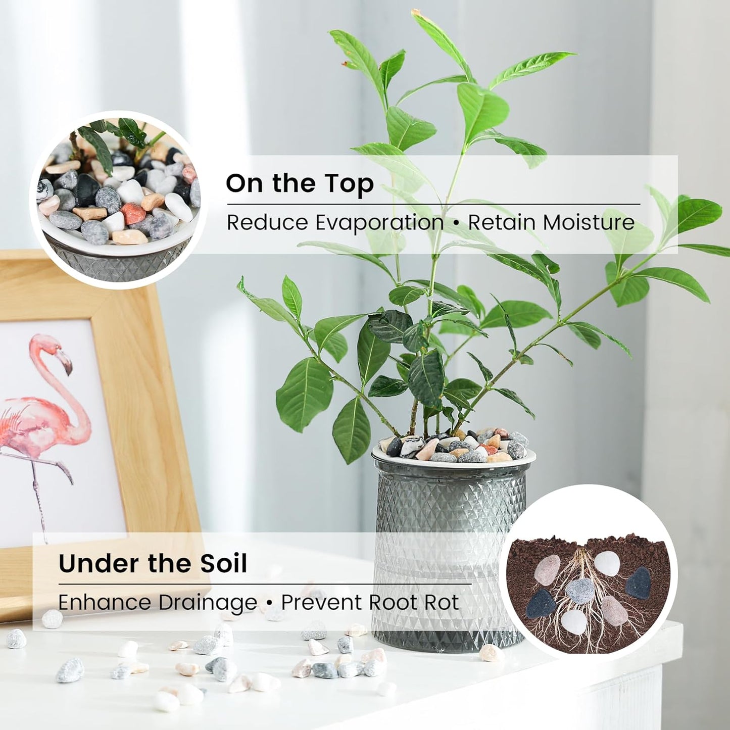 SIDONG 10 LB Natural Mixed Color Gravel Pebbles, 2/5 Inch Small Pea Gravel Stones, Decorative River Rocks for Succulents, Aquariums, Vases, Indoor Plants, Garden Landscaping, DIY