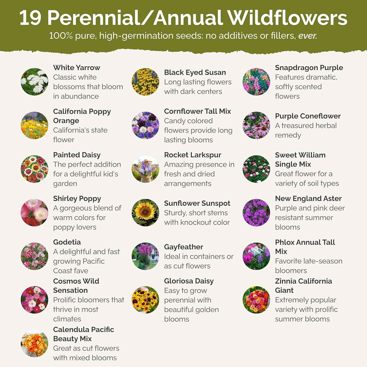 Eden Brothers Late Bloomer Wildflower Mixed Seeds for Planting, 5 lb, 2,400,000+ Seeds with White Yarrow, Snapdragon | Attracts Pollinators, Plant in Spring or Fall, Zones 3, 4, 5, 6, 7, 8, 9, 10
