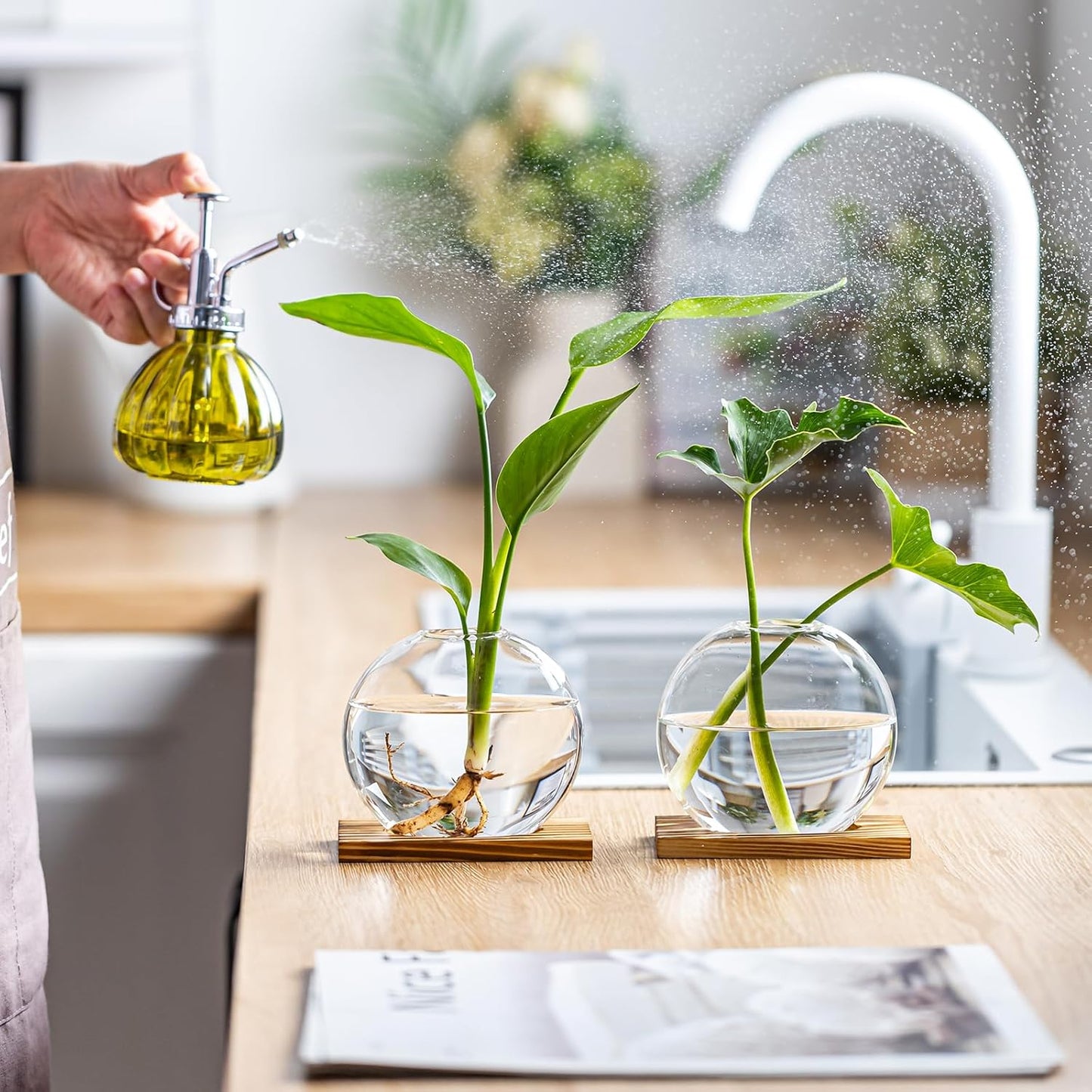 Glass Planter Propagation Station with Wooden Base - Clear Oblate Hydroponic Vase, Decorative Desktop Flower Vase for Home, Office, Windowsill - Gift for Plant Lovers (6)