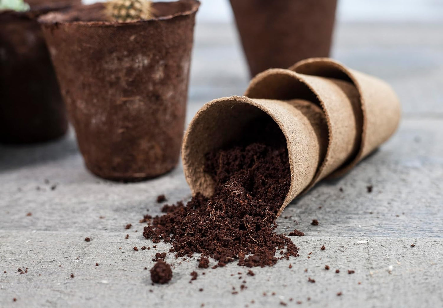 Daniel's Plants 3" Naked Pots | Natural Plantable Seed Starter Pots | OMRI-Listed Biodegradable for Seedlings | Enhanced Drainage & Aeration | Earth Friendly - Peat Free | 16 Pack 3 Inch Round