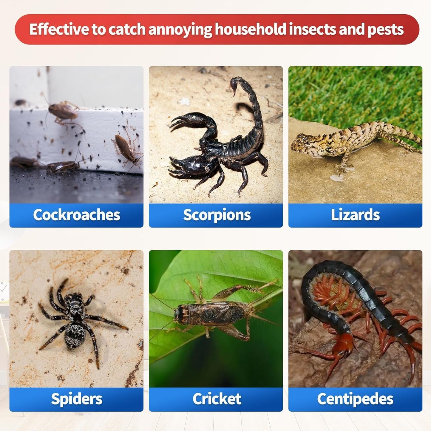 LULUCATCH Spider & Insect Glue Traps,24 Pack Pre-baited Cockroach Glue Boards, Non-Toxic Bulk Cricket Sticky Traps, Roach Trap Bug Catcher Indoor for Home Garage Scorpions, Flea, Centipedes