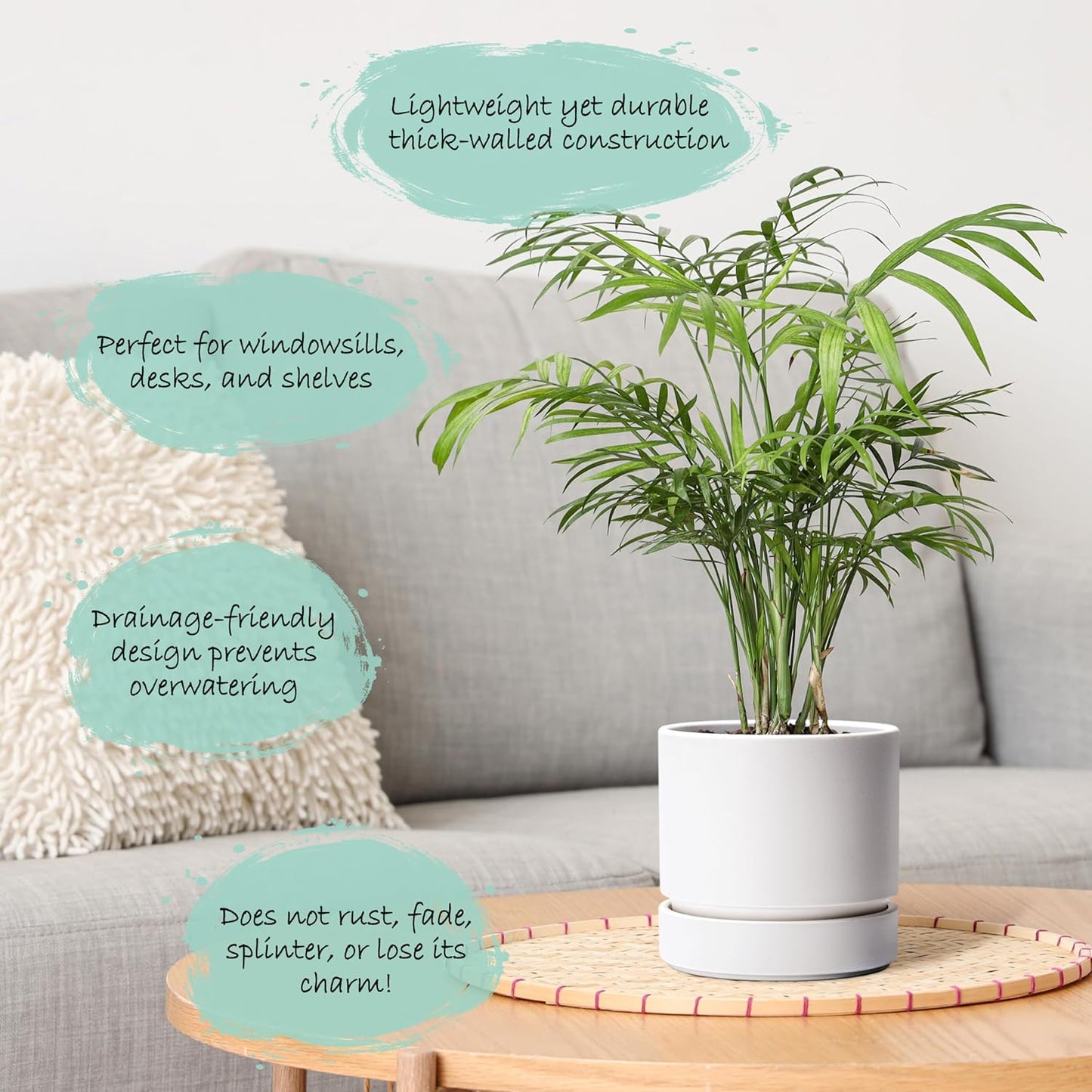 Phoenix Vine 6 Inch Planter Pot with Drainage Hole & Saucer, Deep Water Catch Tray, Straight Cylindrical Round Pot for Plants, Matte White, Pack of 3, 23-B-S-3