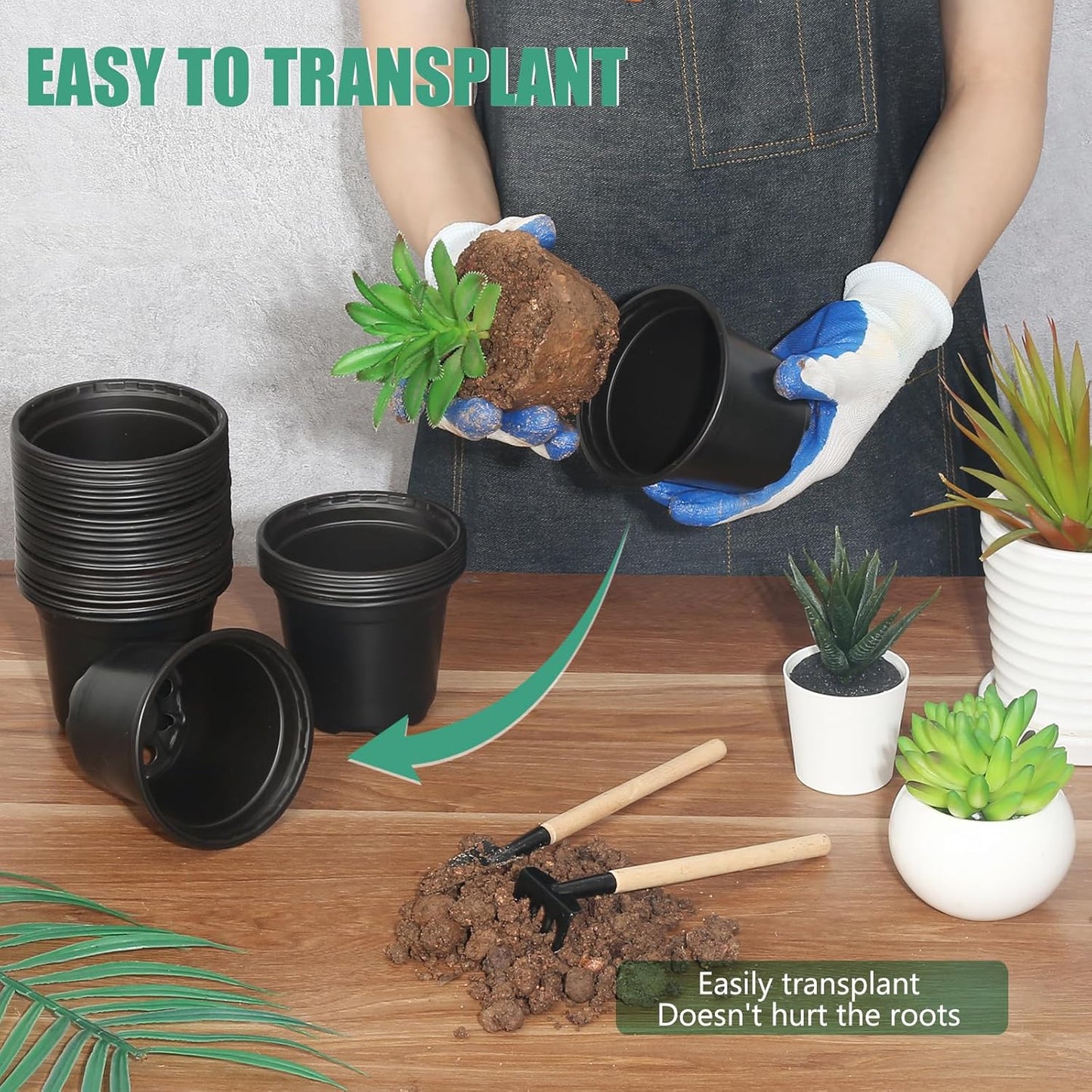 60 Pack 3 Inch Nursery Pots for Plants, Plastic Seeds Starter Pots with Drainage Holes, Small Plastic Plant Nursery Pots for Succulents Seedling Cutting Transplanting (60, 3 Inch)