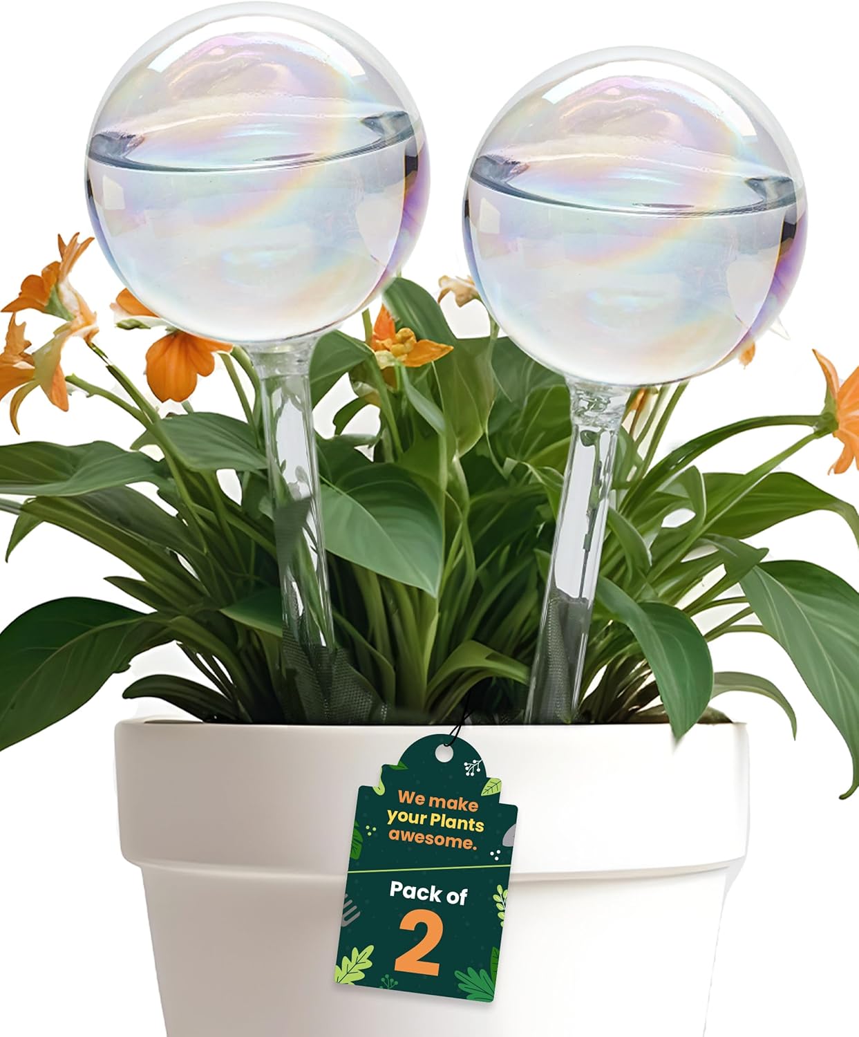 Large 2 Pcs Iridescent Self Watering Globes, Glass Rainbow Plant Watering Globes, Self Watering Planter Insert, Automatic Plant Waterer Indoor, Plant Watering Devices, Plant Water Globe, Watering Bulb