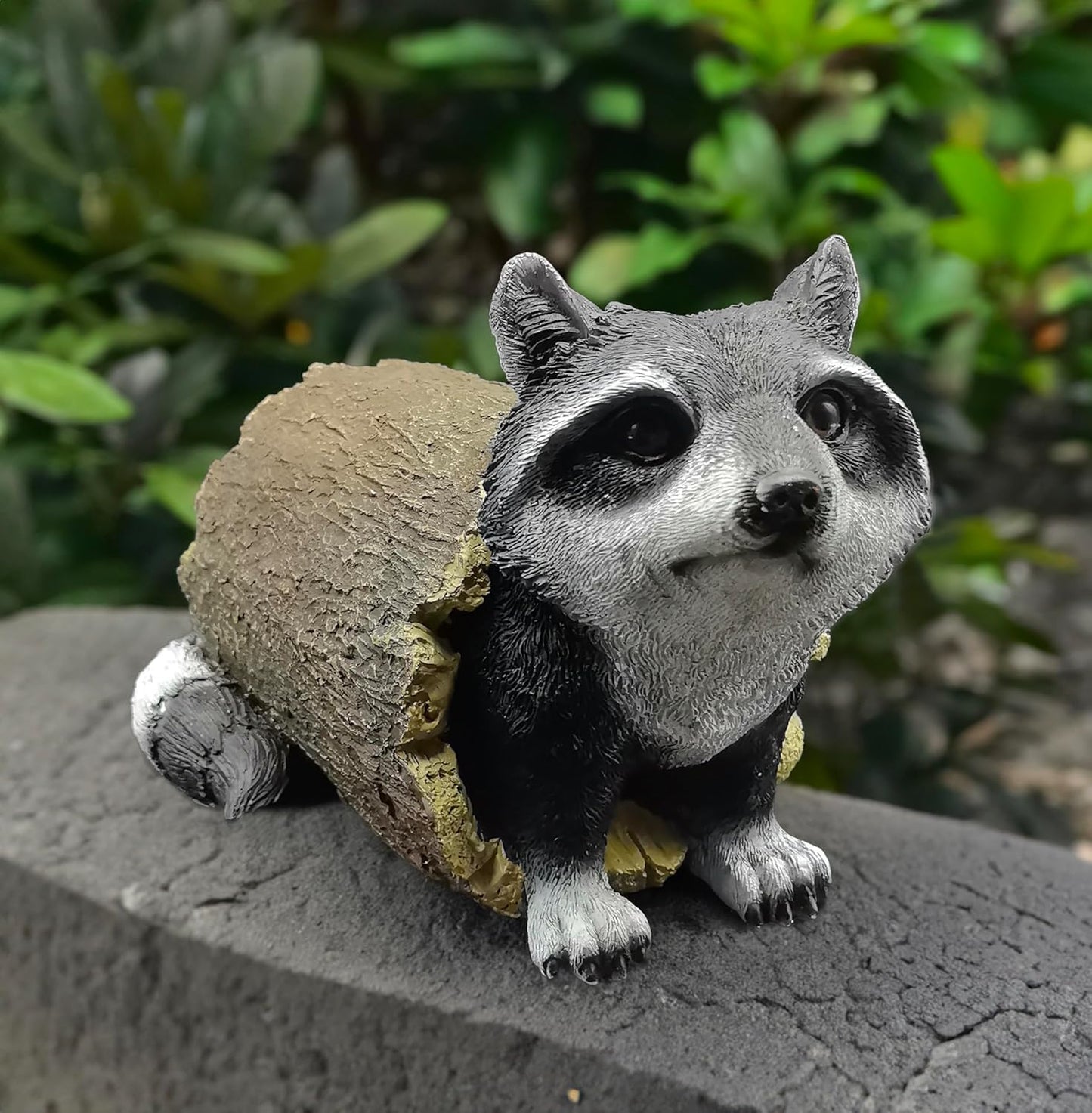 coolboy Outdoor Raccoon Statue Garden Decoration,Cute Raccoon Sculpture Art Interior Office Home Décor,Resin Animal Figurine Art Decoration for Garden Yard Lawn