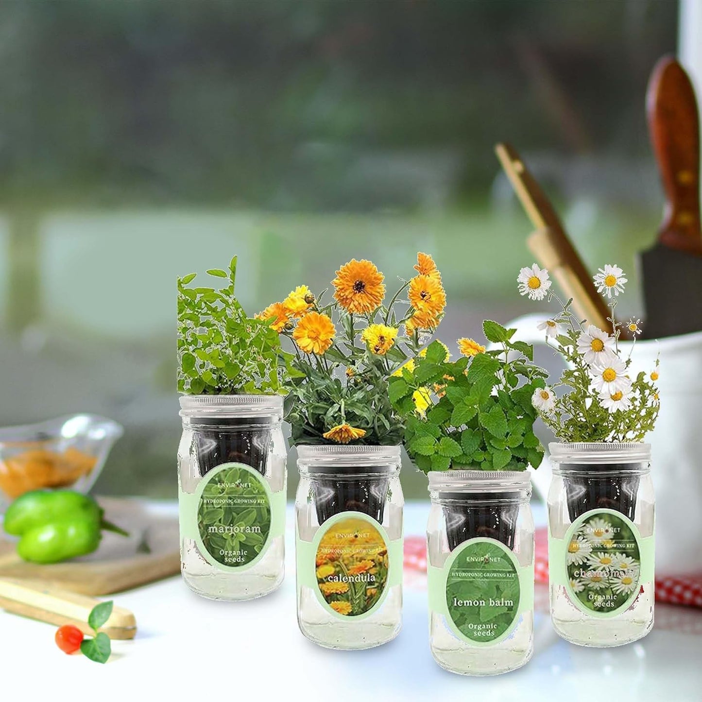 Hydroponic Herb Growing Kit Set, Self-Watering Mason Jar Herb Garden Starter Kit Indoor, Grow 4 Kinds of Herbs from Seeds (Calendula,Chamomile,Lemon Balm&Marjoram)