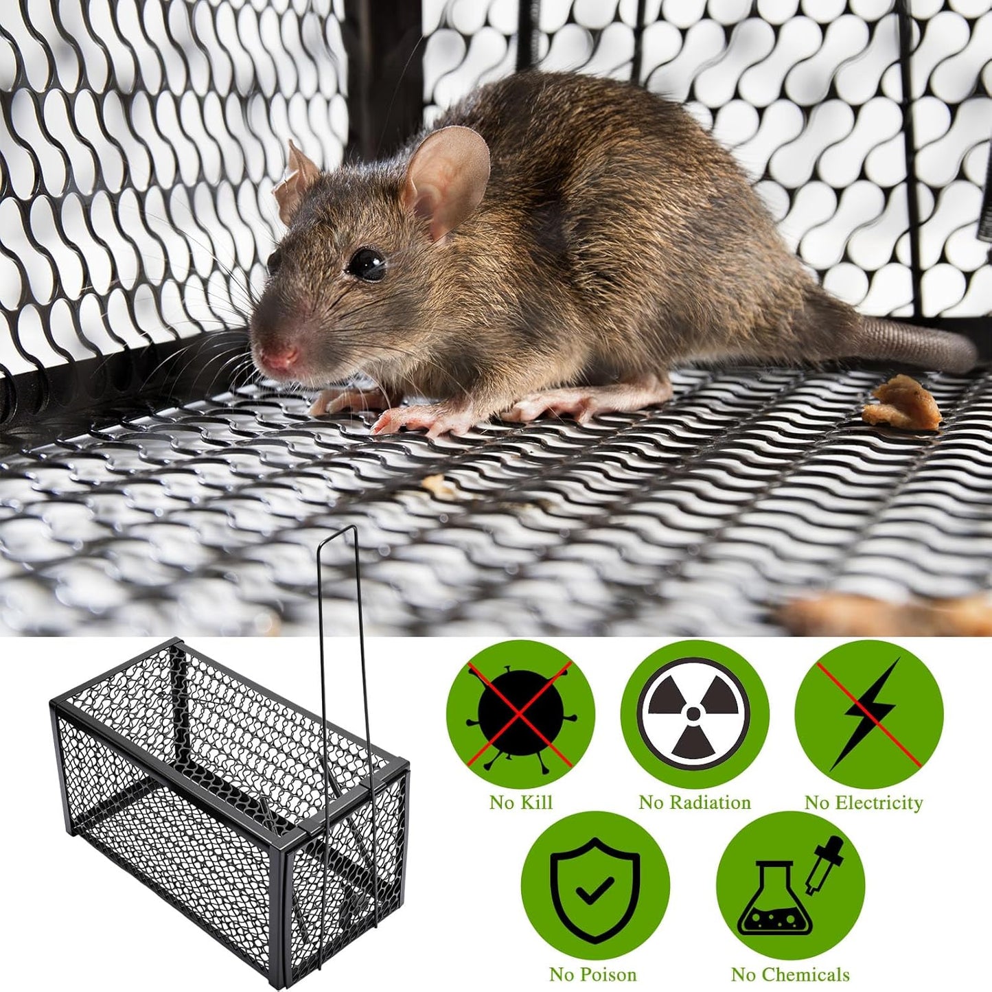 Qualirey 2 Pcs Humane Rat Trap Chipmunk Rodent Mouse Squirrel Trap 11 x 6 x 6 Inches Live Animal Mouse Voles Hamsters Live Cage Rat Cage for Mice Easy to Catch and Release, Black