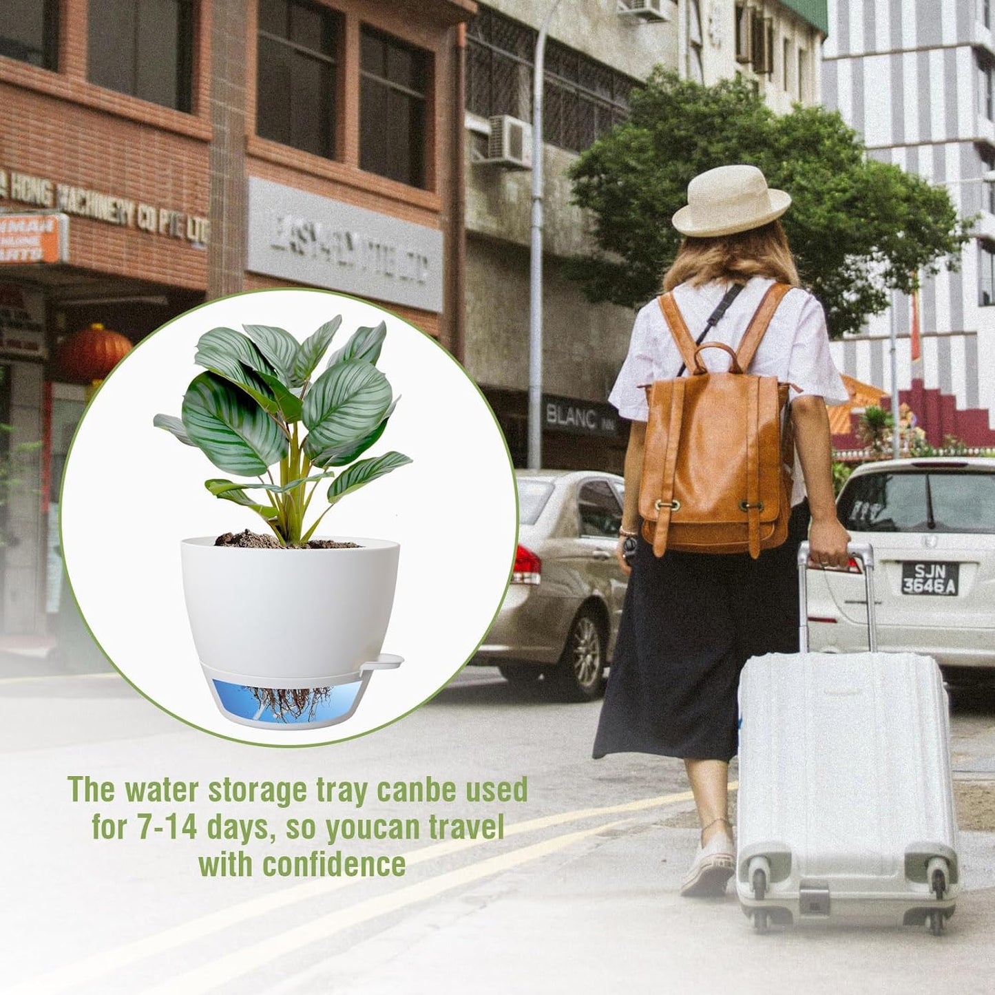 8 inch Self Watering Pots, Planter, Plant Pots with Mesh Drainage Holes for Indoor Outdoor House Plants and Garden, 2 Pack Plastic Flower Pots with Deep Reservoir for Patio Porch, White