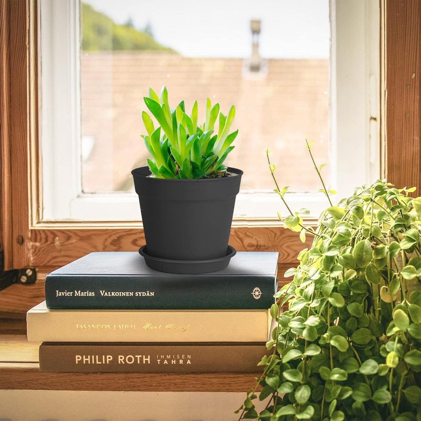 24 Pcs 4 Inch Plant Pots with Drainage Holes and Saucers for Indoor Plants, Plastic Small Flower Nursery Pots Seed Starting Pots for Plants Succulent, Black