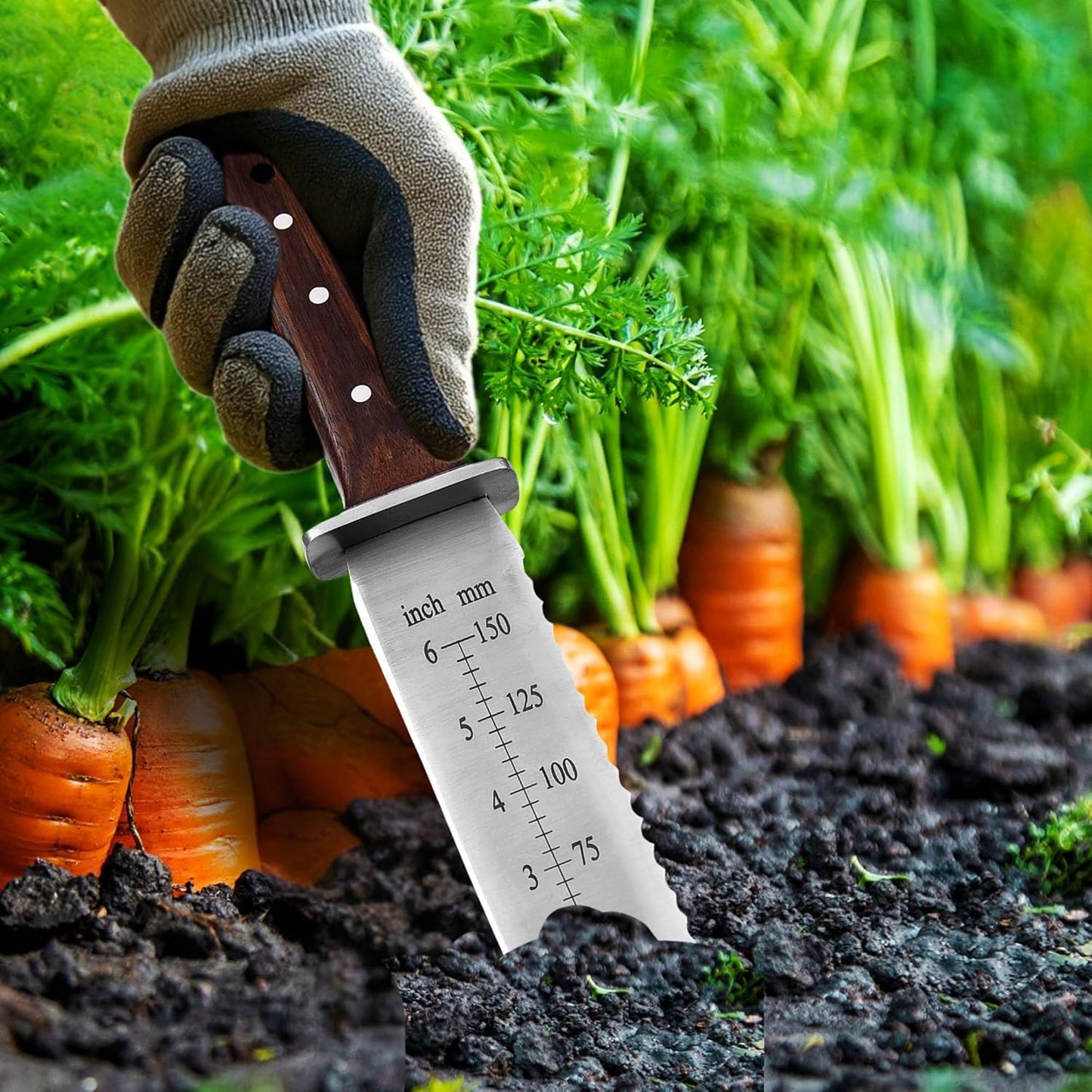 Namibagata Japanese Steel Straight Garden Knife use for Digging, Weeding knife & Planting Knife 12" Stainless Steel with Cutting Edge, Full-Tang walnut Wood Handle with Sheath