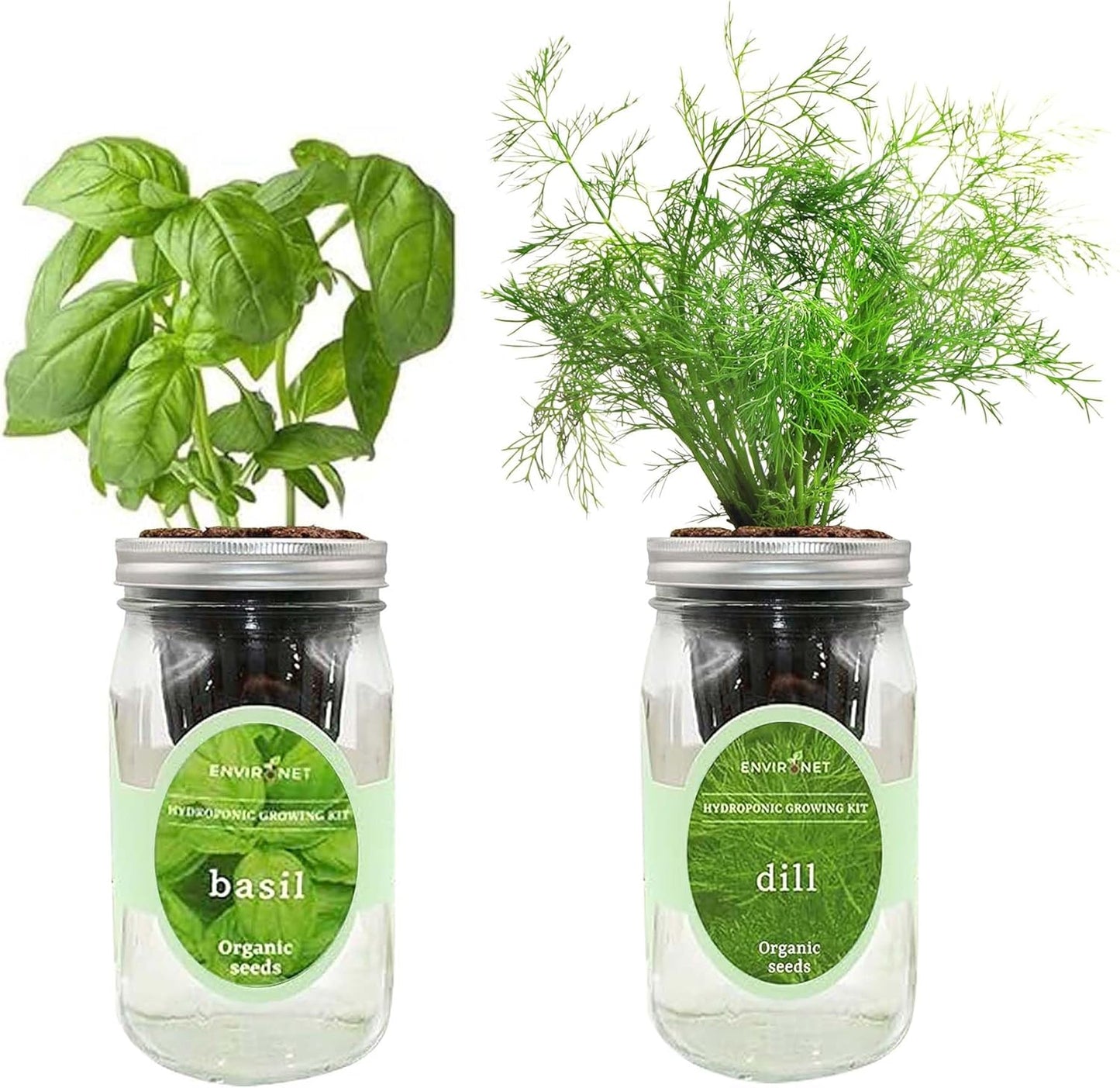 2-Pack Hydroponic Mason Jar Herb Garden Kit, Indoor Herb Garden Self-Watering Starter Kit (Basil,Dill)