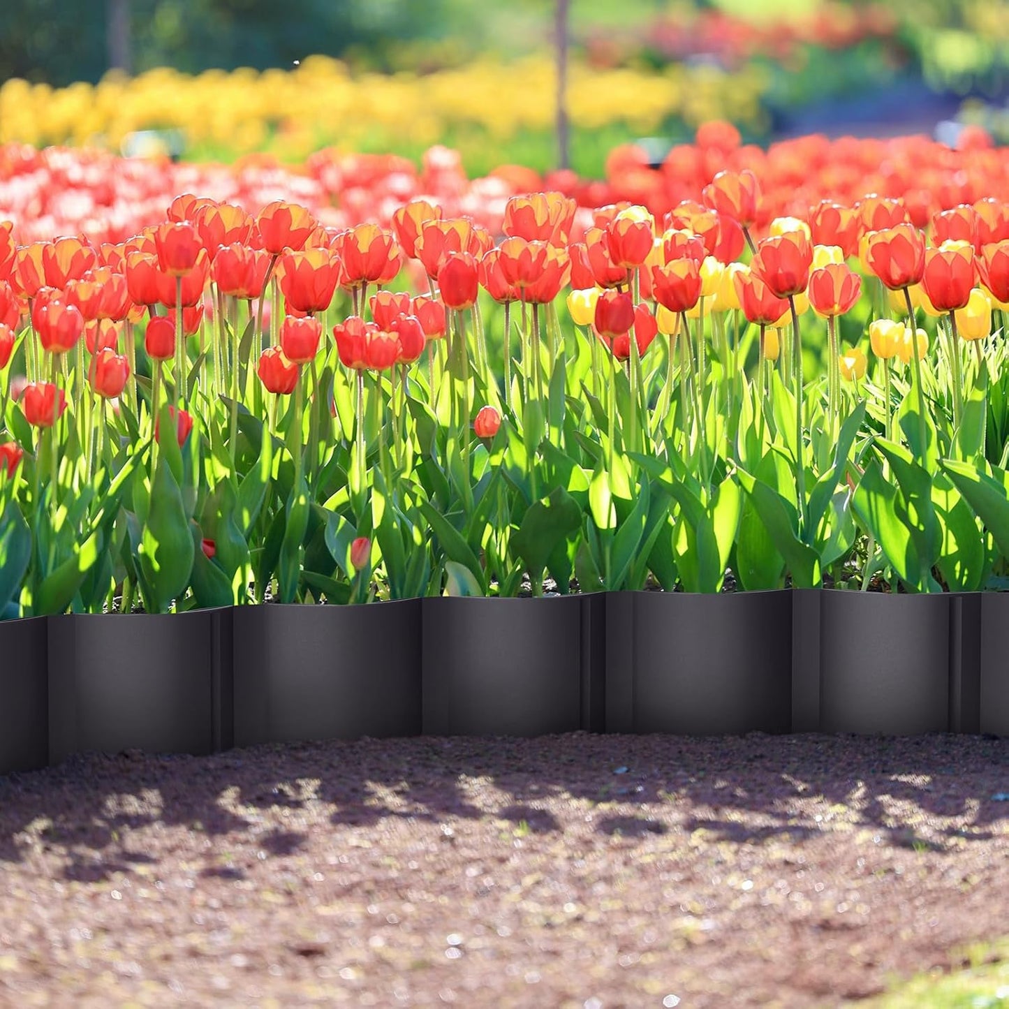 Mars Villa 30FT Landscape Edging Border, Interlocking Landscape Edging 5.9 in Garden Edging No-Dig Plastic Flower Bed Border for Yard, Lawn, Flower Bed, Fence, Pathway (Black,24Pcs)