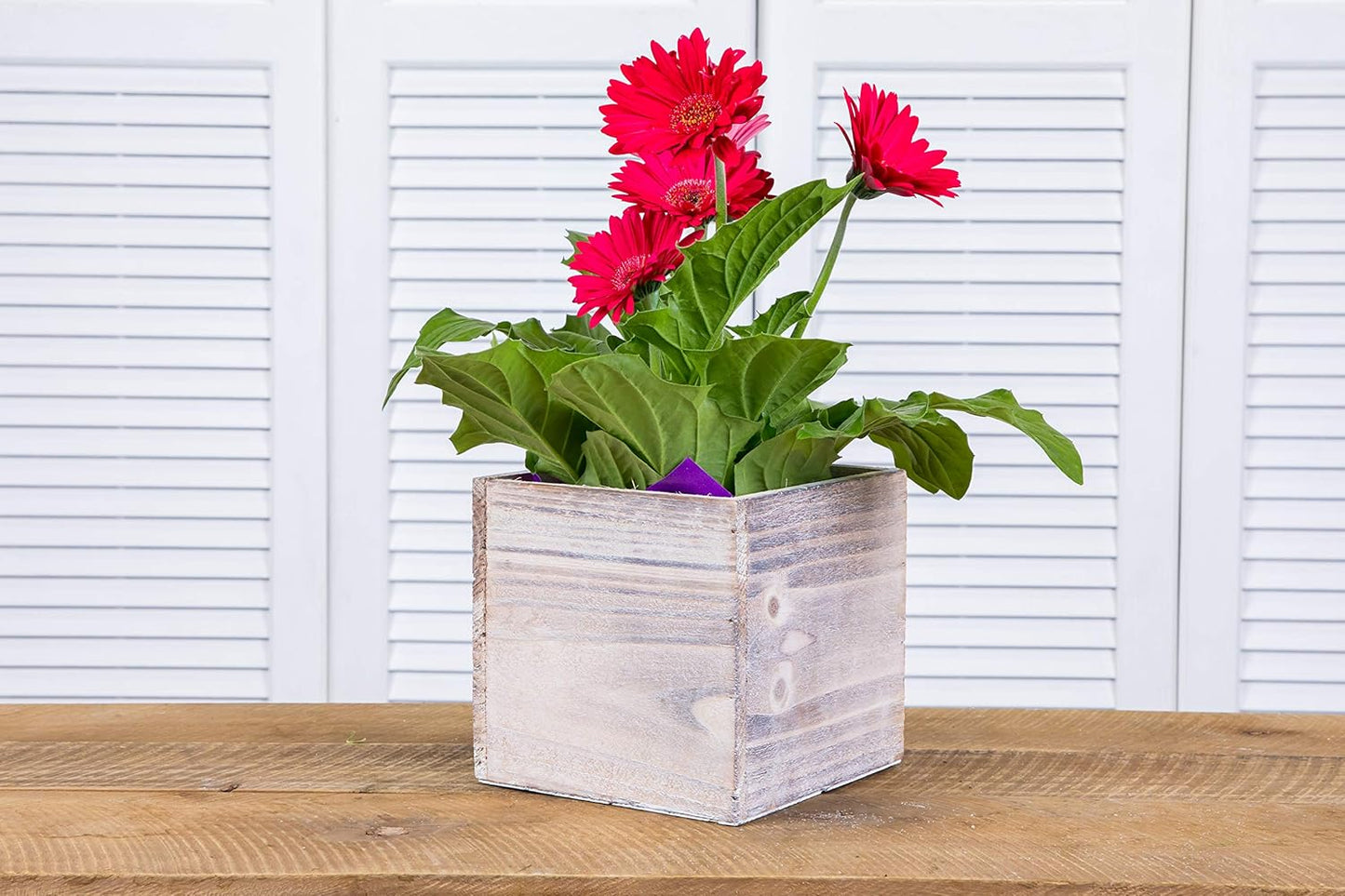 Wooden Planter Box, Rustic Barn Whitewash with Plastic Liner l Garden Decor l Restaurant and Wedding Decorations l Wedding Bouquets, Table Centerpiece (6x6 Set of 2, Whitewash)