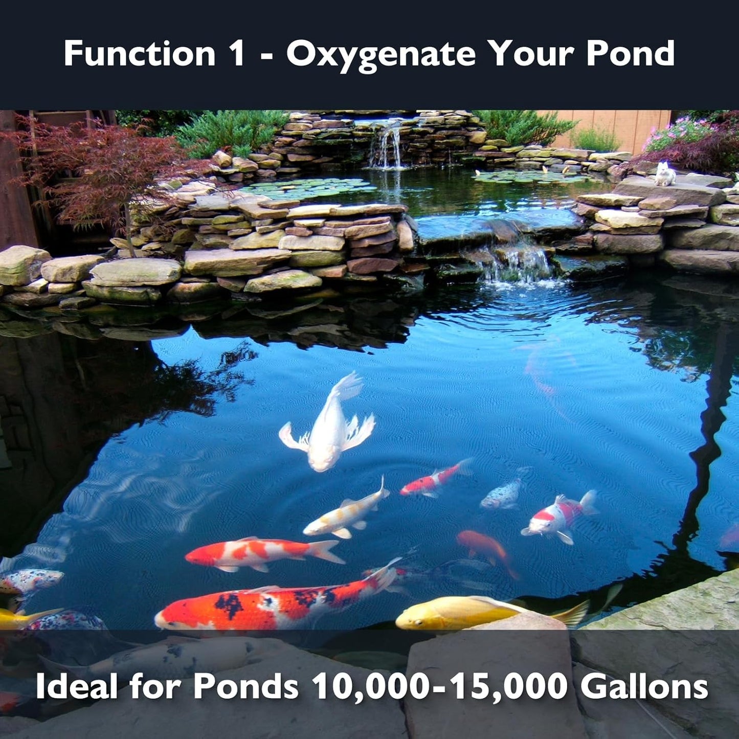 AquaMiracle Koi Pond Aerator Pond Air Pump for Outdoor Ponds 10000-15000 Gallons, All-in-One Aeration Kit with Self-Sinking Airline Flow Control Rubber Air Diffuser