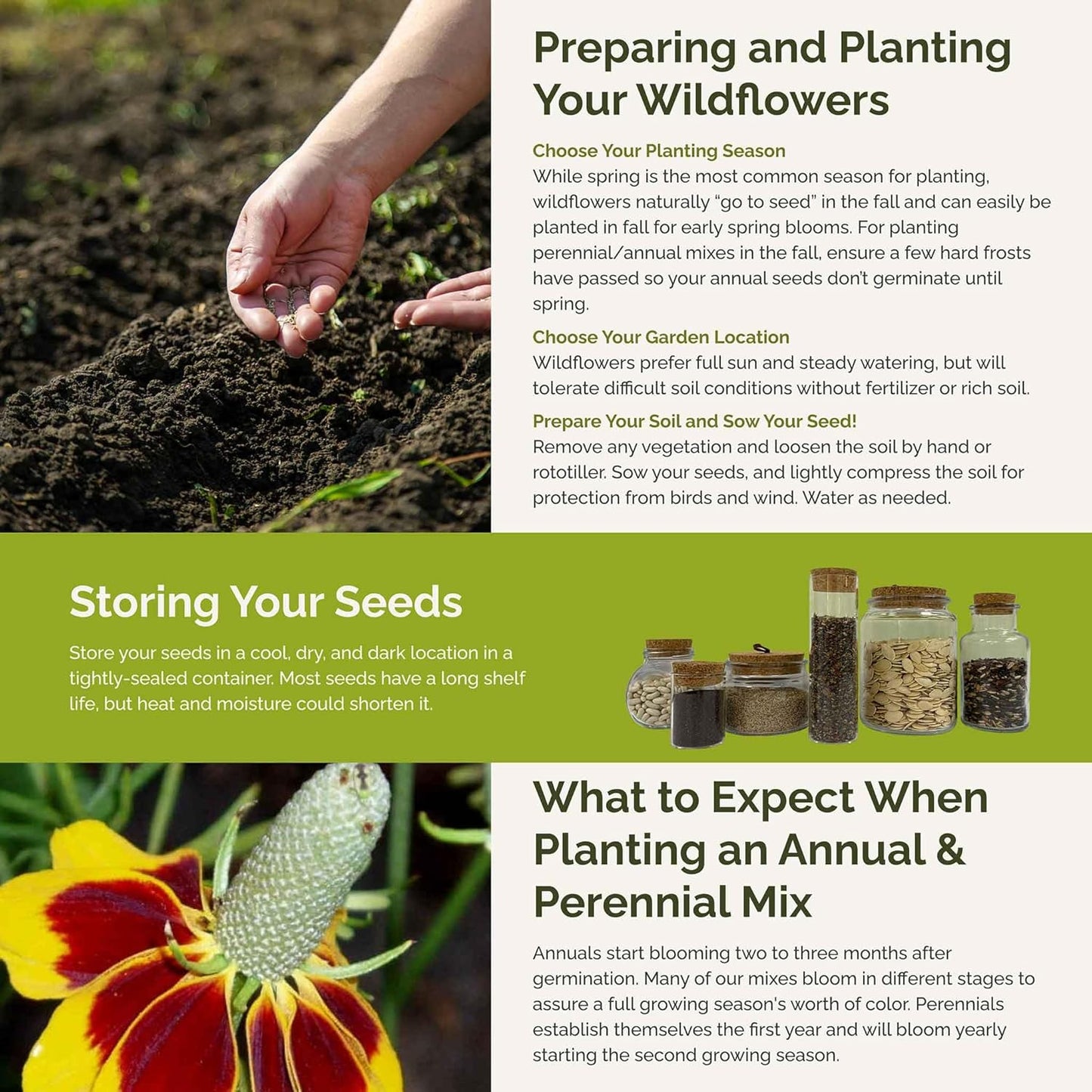 Eden Brothers Conehead Flower Mixed Seeds for Planting, 1/4 lb, 120,000+ Seeds with Prairie Coneflower, Mexican Hat | Attracts Pollinators, Plant in Spring or Fall, Zones 3, 4, 5, 6, 7, 8, 9, 10