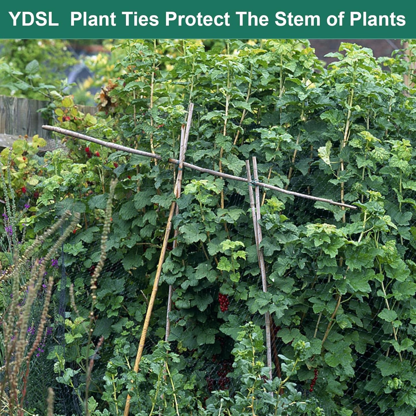 YDSL 88 feet Garden Flexible Wire, 3Pcs Soft Twist Plant Ties for Plant Vines and Office Organization (Diameter - 3MM)