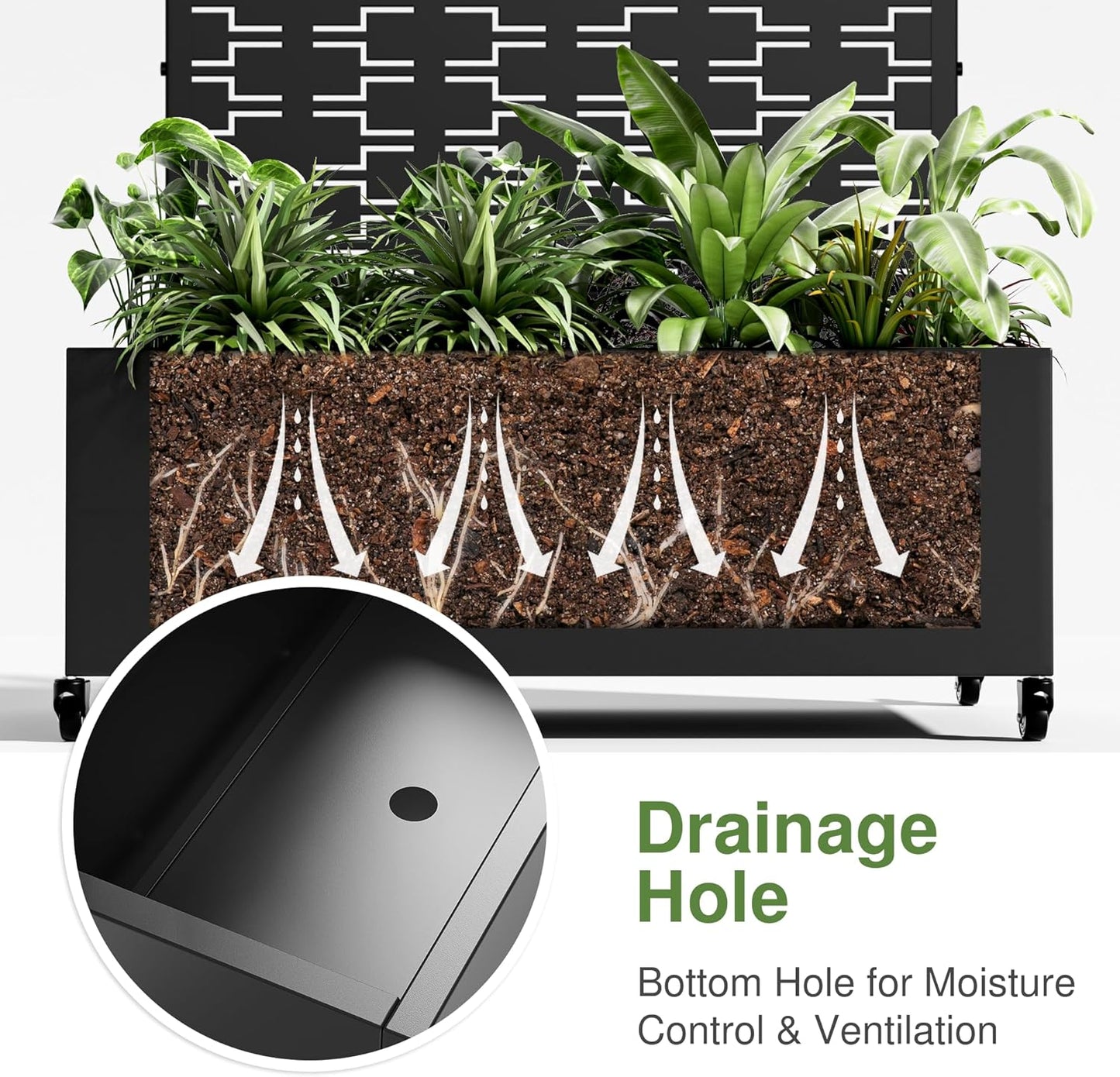 Casaphoria Metal Raised Garden Bed with Trellis and Wheels, 47"x47"x16" Planter Box for Climbing Plants, Vegetables & Vines, Features Drainage Holes and Privacy Screen, Black-Square