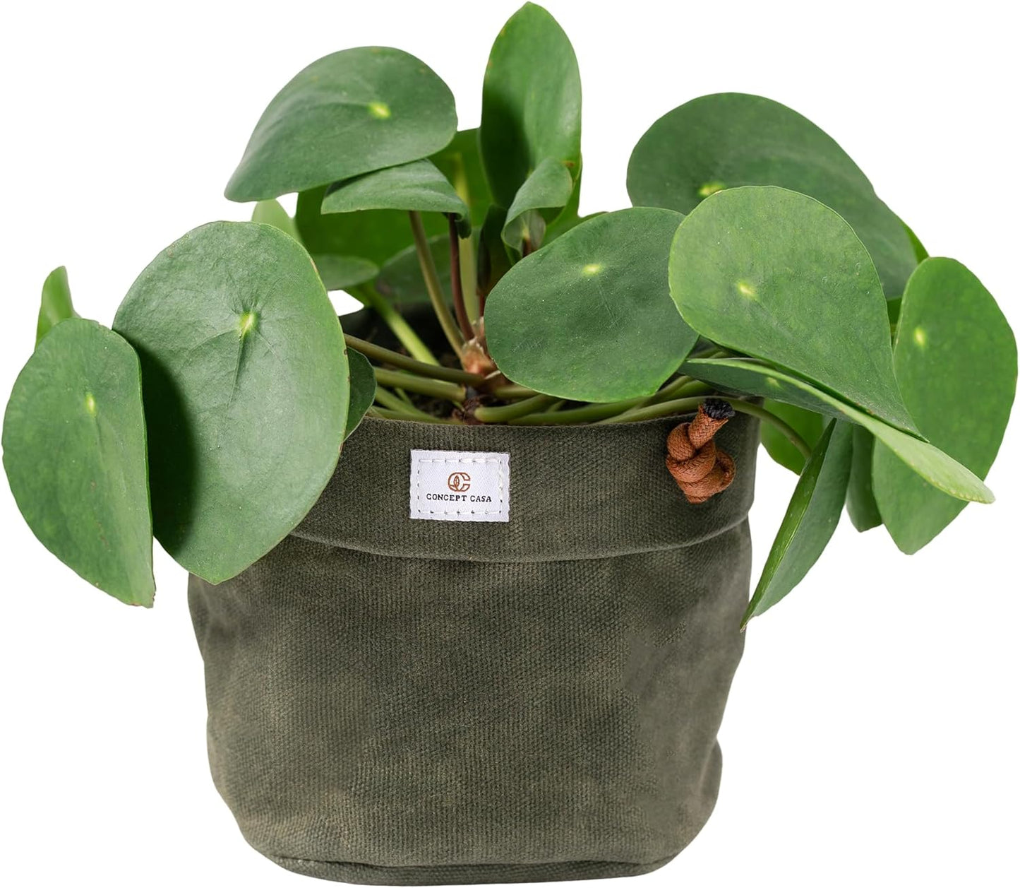 Waxed Canvas Handmade Hanging Planter for Indoor/Outdoor Plants, Hanging Basket Plant Holder Forest Green with Hook