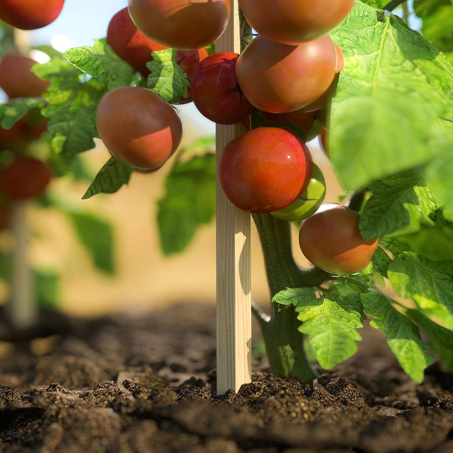 Greenes Fence 3 Ft. Wooden Garden and Sign Post Stakes (100-Pack)