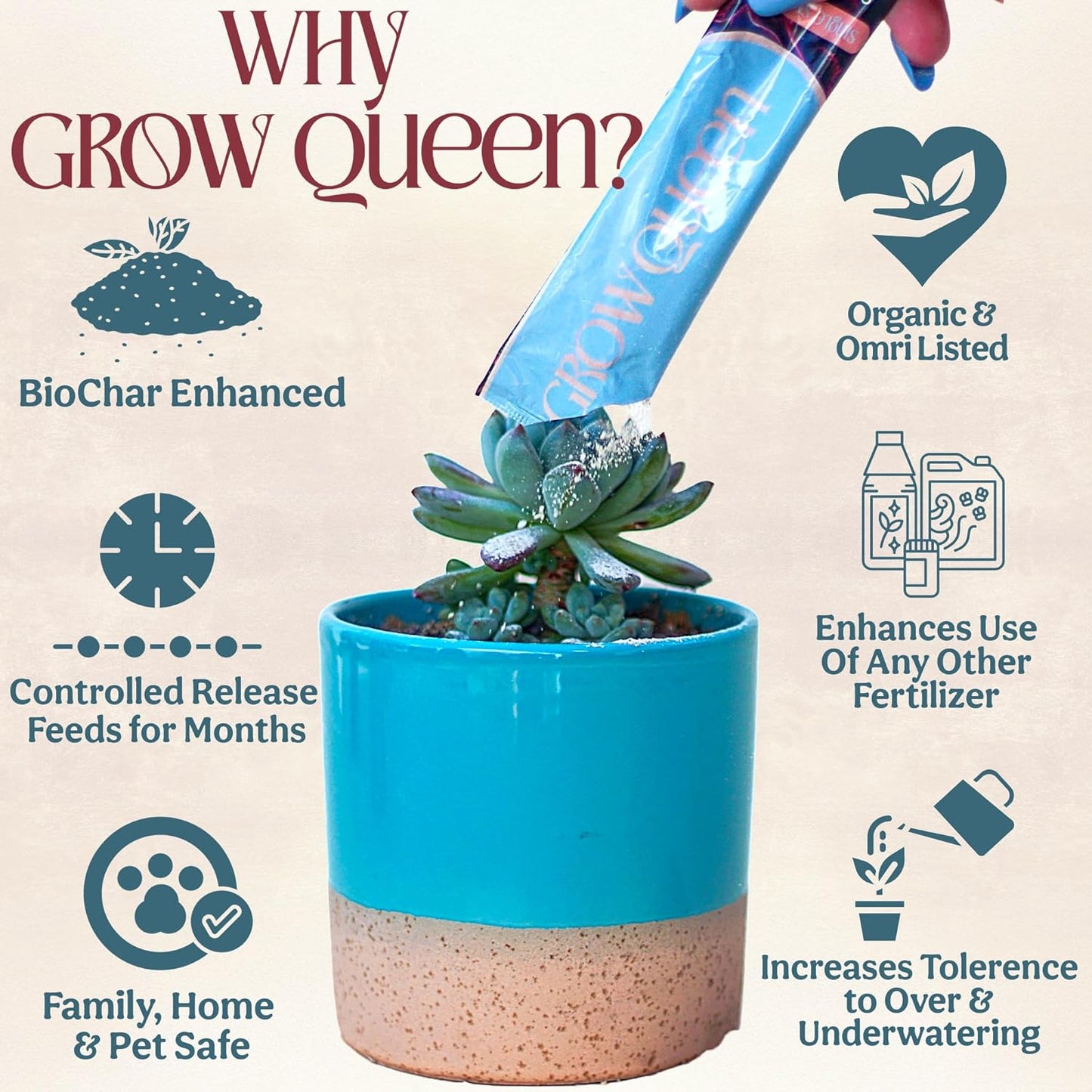 Complete Organic Cactus & Succulent Fertilizer, Succulent Plant Food & Cactus Food, Bonsai, Snake Plant Fertilizer, 11 Servings Fast & Slow Release Feeds up to 44 Plants 8 Months