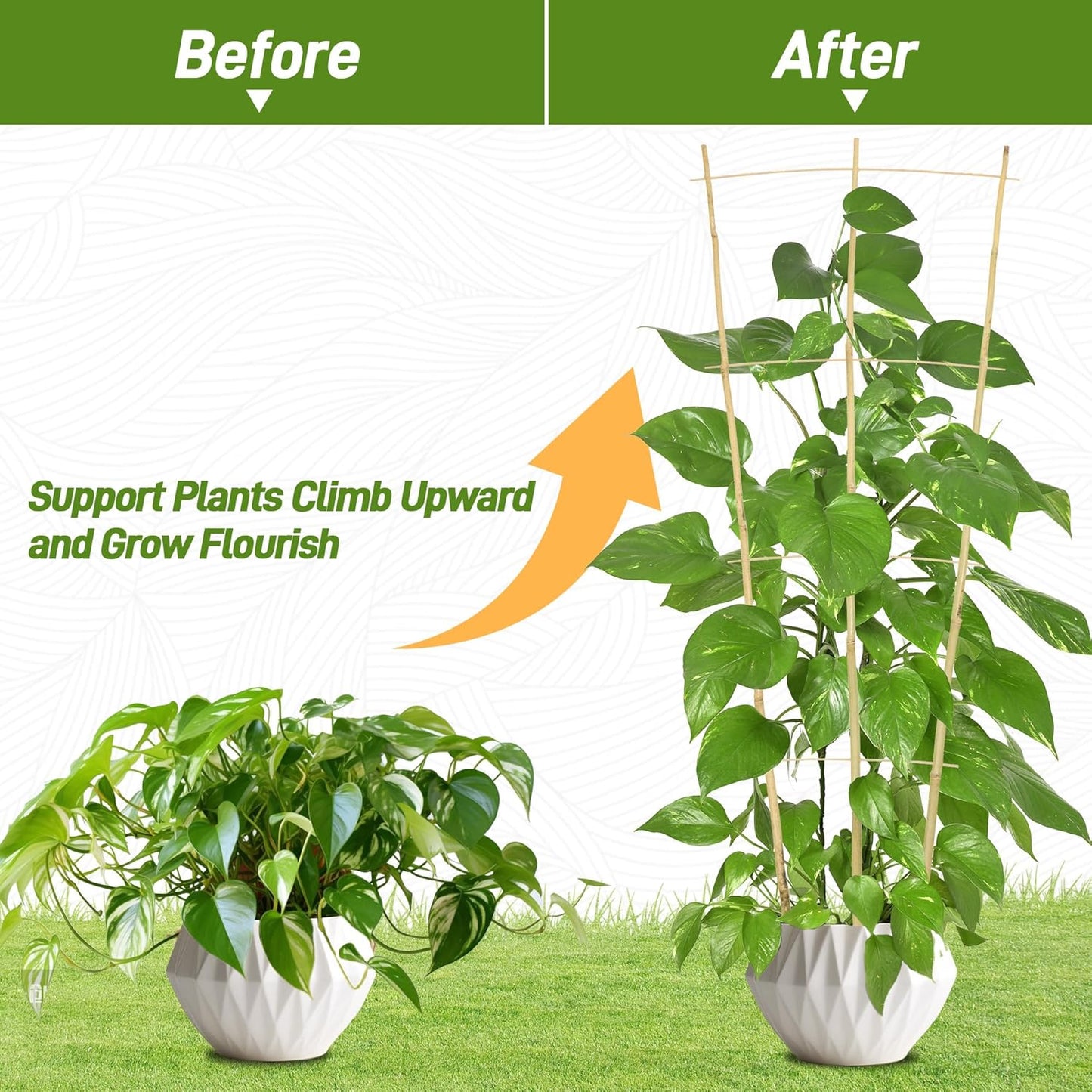 Avalution 10 Pack Bamboo Trellis for Climbing Plants, 4 FT Garden Ladder Trellis for Potted Plants Indoor, Fan-Shaped Small Plant Support Trellis for Houseplants Ivy Hoya Vine Monstera