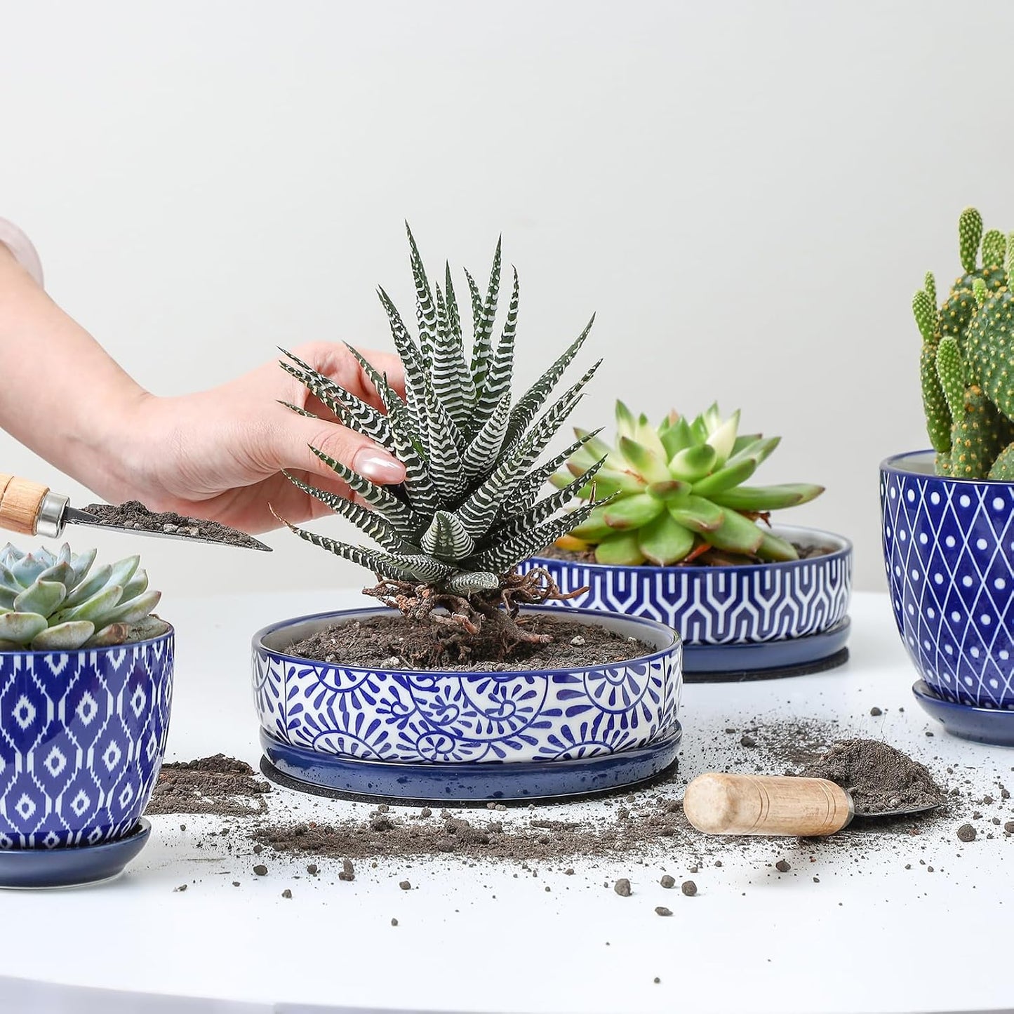 Selamica Ceramic Succulent Pots, 6 Inch Shallow Succulent Planters with Drainage Hole & Saucer, Indoor Plant Pots for Cactus, Herb, Home Decor, Set of 4, Vintage Blue