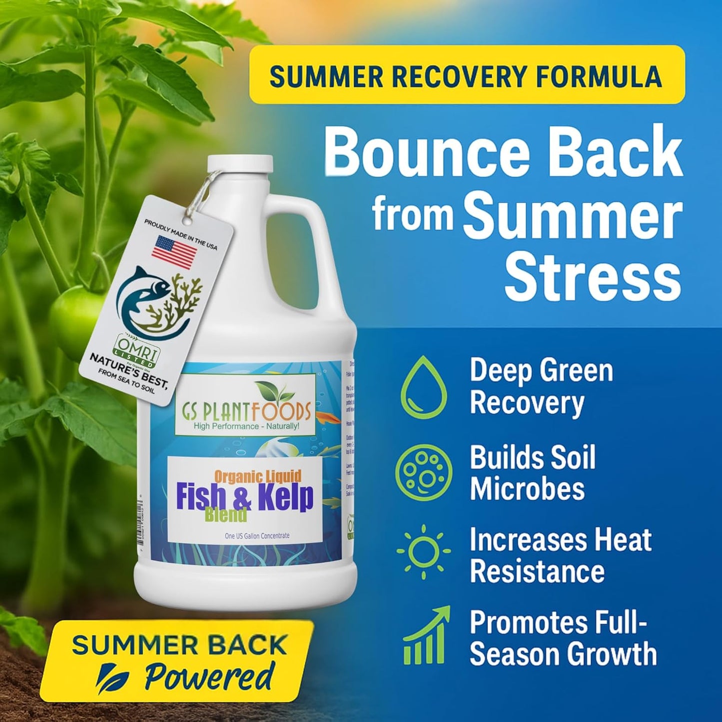 Omri Listed Fish & Kelp Fertilizer by GS Plant Foods (1 Gallon) - Organic Fertilizer for Vegetables, Trees, Lawns, Shrubs, Flowers, Seeds & Plants - Hydrolyzed Fish and Seaweed Blend