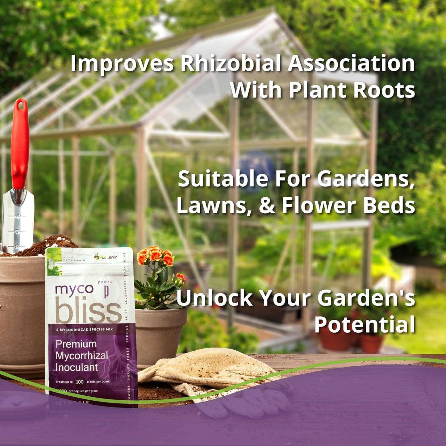 Myco Bliss Powder (1lb) - Mycorrhizal Fungi for Soil - 5 Strain Mycorrhizal Inoculant with 1000 Propagules Per Gram - Highly Concentrated Mycorrhizae for Plants, Potting Soil, & Garden Soil