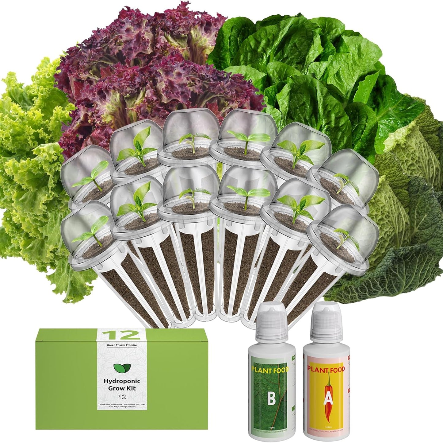 inbloom Salad Romaine Lettuce Seed Pod Kit for AeroGarden, Ahopegarden Hydroponics Growing System, 12-Pods (350+ Seeds, Include American Fast Lettuce, Parris Island Lettuce, Butter Lettuce)