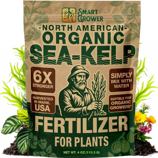 Organic Sea Kelp Fertilizer for Plants – Water-Soluble – Makes 100 Gallons – Kelp Meal Concentrate Plant Food – for Indoor Gardens, Hydroponics, Vegetables, Houseplants - Smart Grower - 4oz Bag