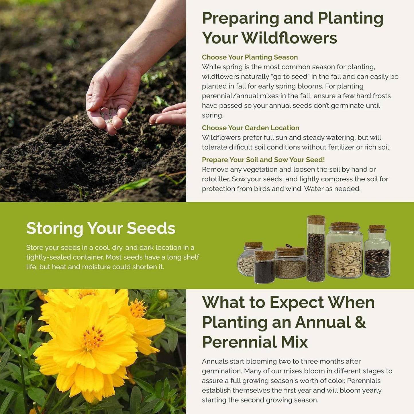 Eden Brothers Ole Yeller Wildflower Mixed Seeds for Planting, 1/4 lb, 120,000+ Seeds with African Marigold, Sunflower | Attracts Pollinators, Plant in Spring or Fall, Zones 3, 4, 5, 6, 7, 8, 9, 10