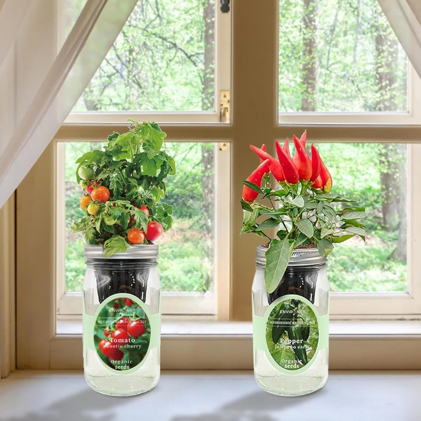 2-Pack Hydroponic Mason Jar Herb Garden Kit, Indoor Herb Garden Self-Watering Starter Kit (Cherry Tomato,Pepper)