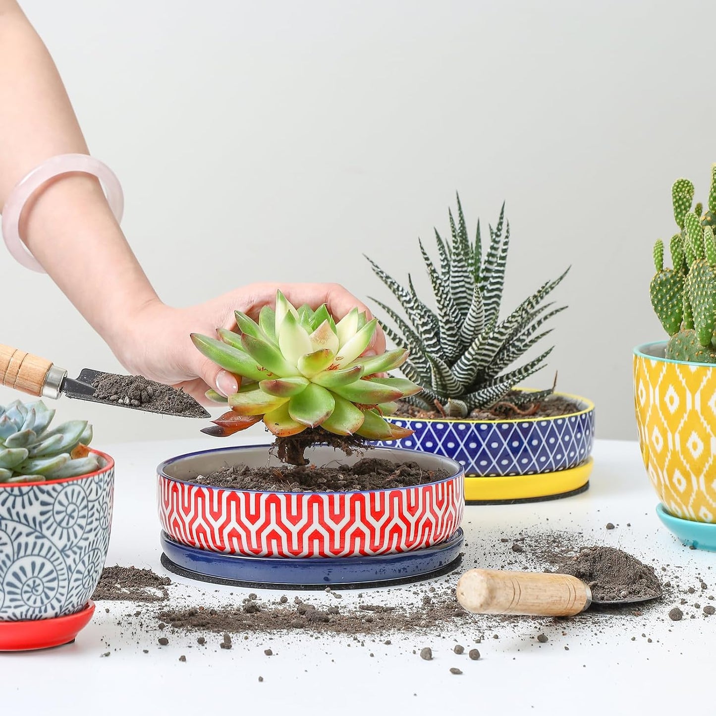 Selamica Ceramic Succulent Pots, 6 Inch Shallow Succulent Planters with Drainage Hole & Saucer, Indoor Plant Pots for Cactus, Herb, Home Decor, Set of 4, Assorted Colors
