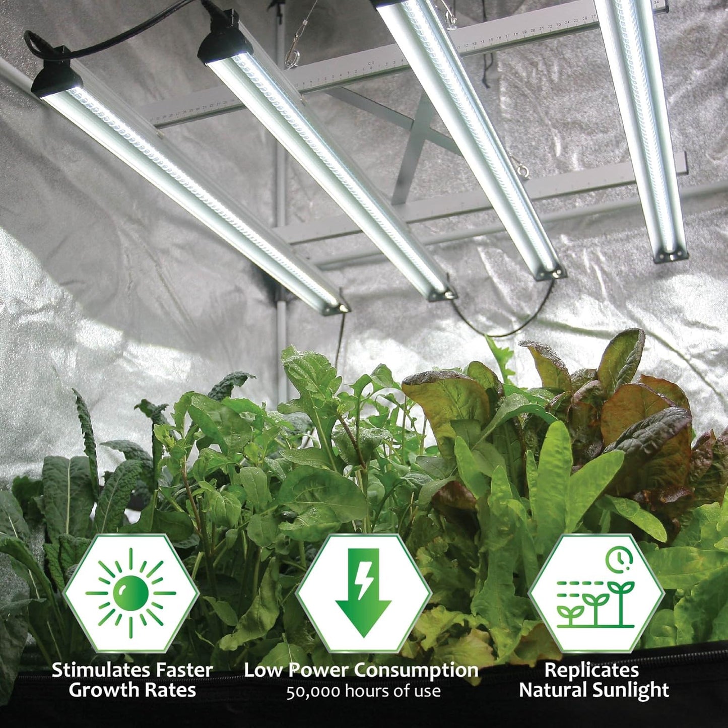 Vegepod Indoor Grow Kit Self Watering with LED Light, Reflective Tent Complete System, All-in-One Indoor Gardening Solution, Premium Tent, Medium Kit, 39"x39"x78"