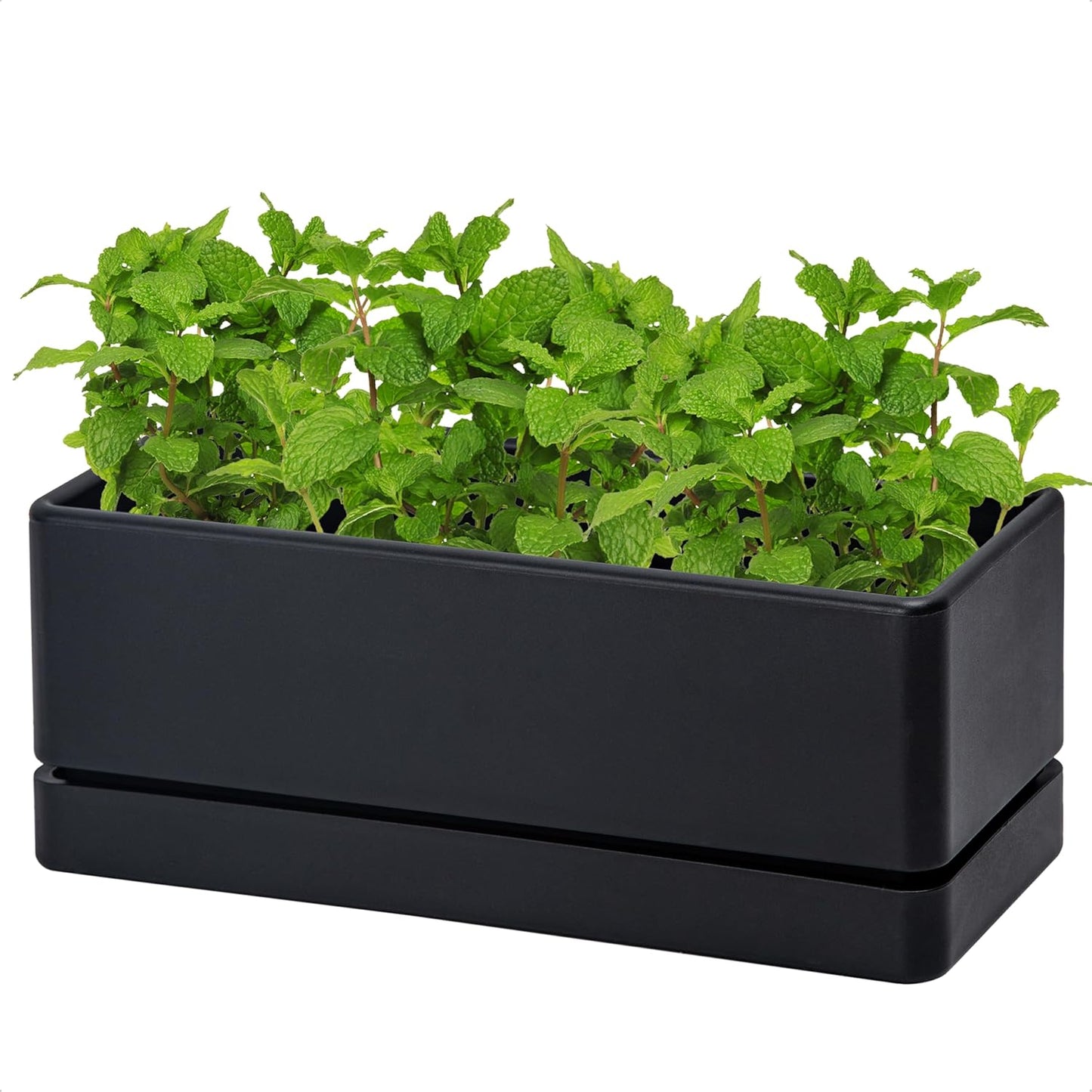 D'vine Dev 12 Inch Window Box Planter, Rectangle Plastic Herb Planter with Drainage Holes and Saucer, Indoor Succulent Cactus Vegetable Pot for Windowsill, Garden Balcony, Black, Set of 1, 76-X-B-1