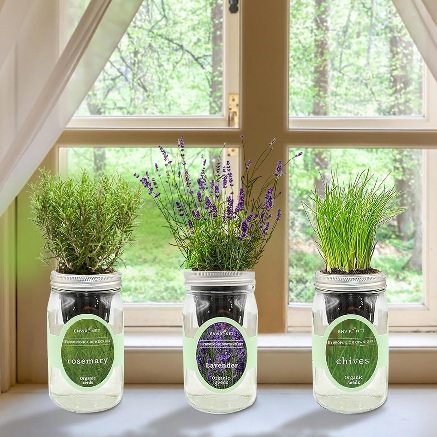 Hydroponic Herb Growing Kit Set, Self-Watering Mason Jar Herb Garden Starter Kit Indoor, Grow Your Own Herbs from Seeds (Lavender, Rosemary & Chives)