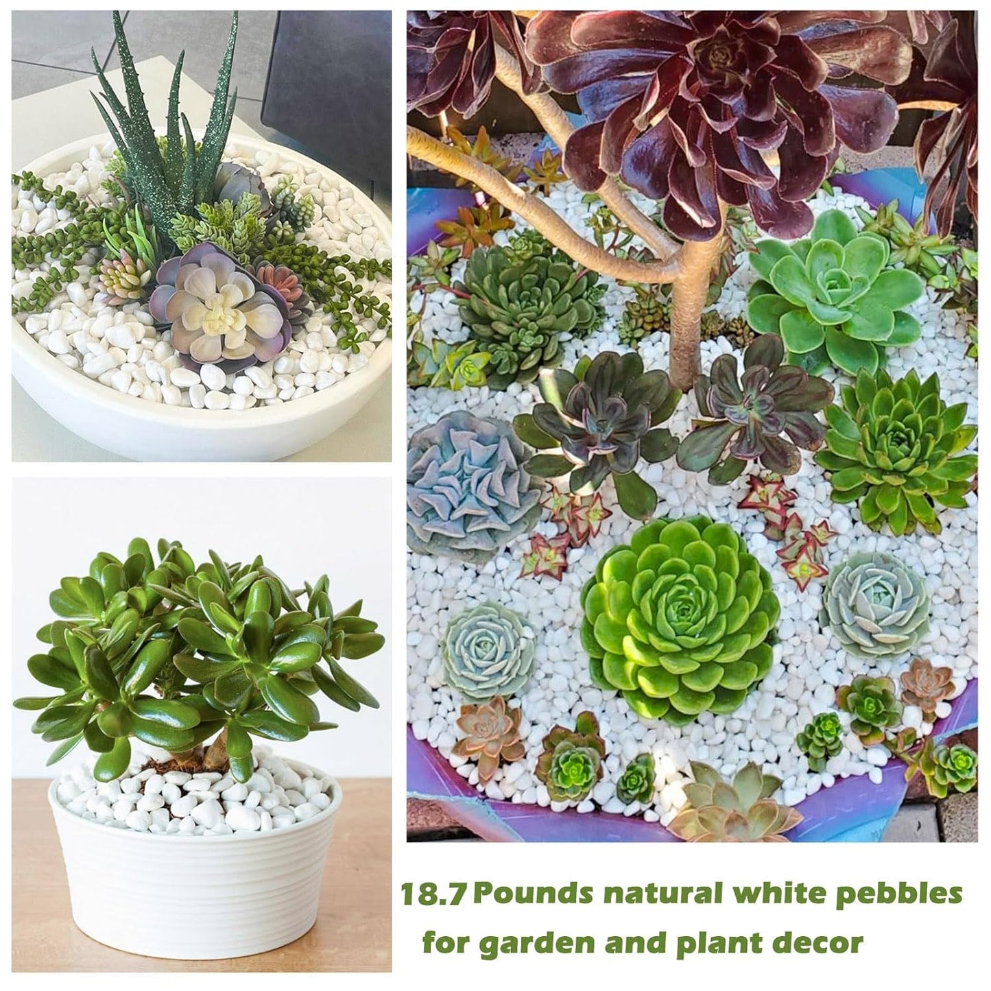 18.7 Lbs Natural River Rocks for Plants 0.6"-0.8" Small White Landscaping Garden Stones White Aquarium Gravel for Decorative Pebbles for Indoor Outdoor Planters