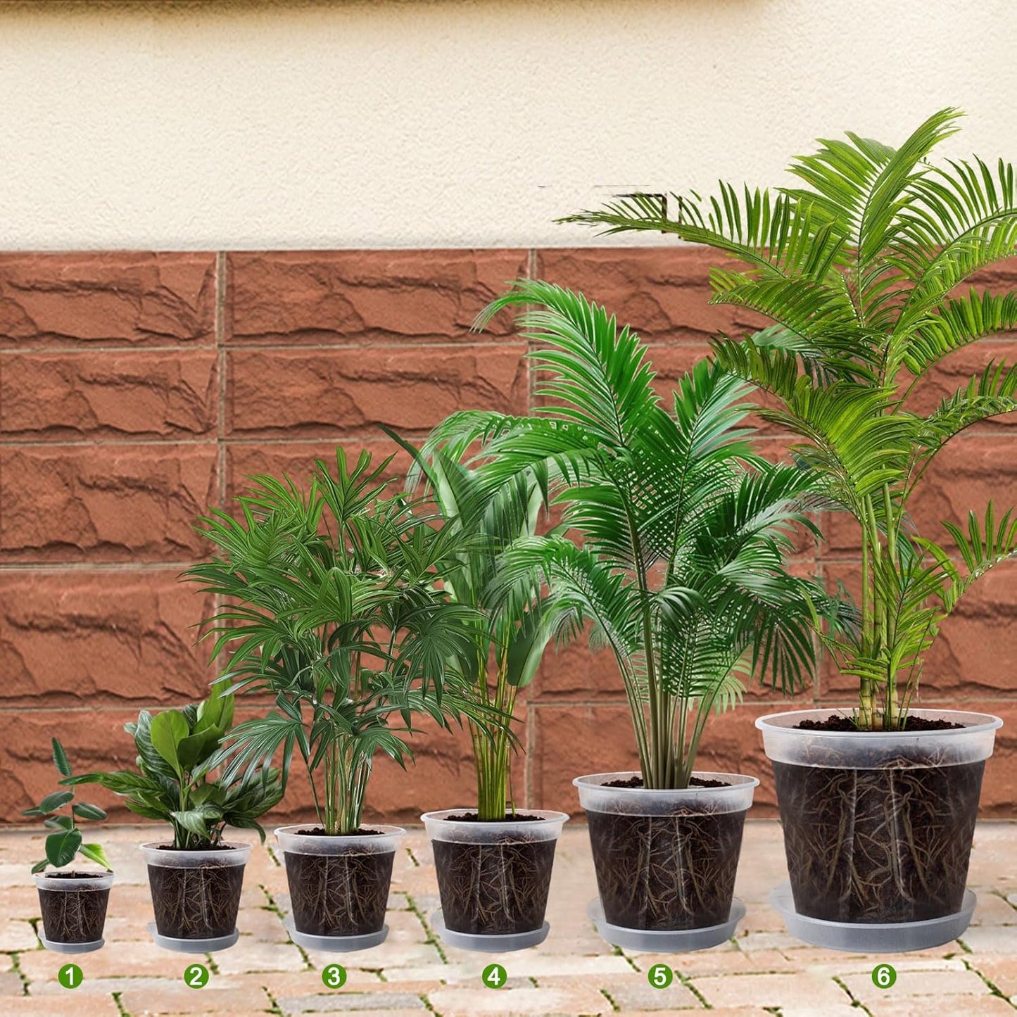 Transparent Plants Nursery Pots with Tray 4/5/5.5/6/7/8 Inch Sturdy Material Plastic Planter with Drainage Hole, Plant Pots for Garden, Houseplant with 12pcs Plant Labels, a Maker Pen, 6 Sets