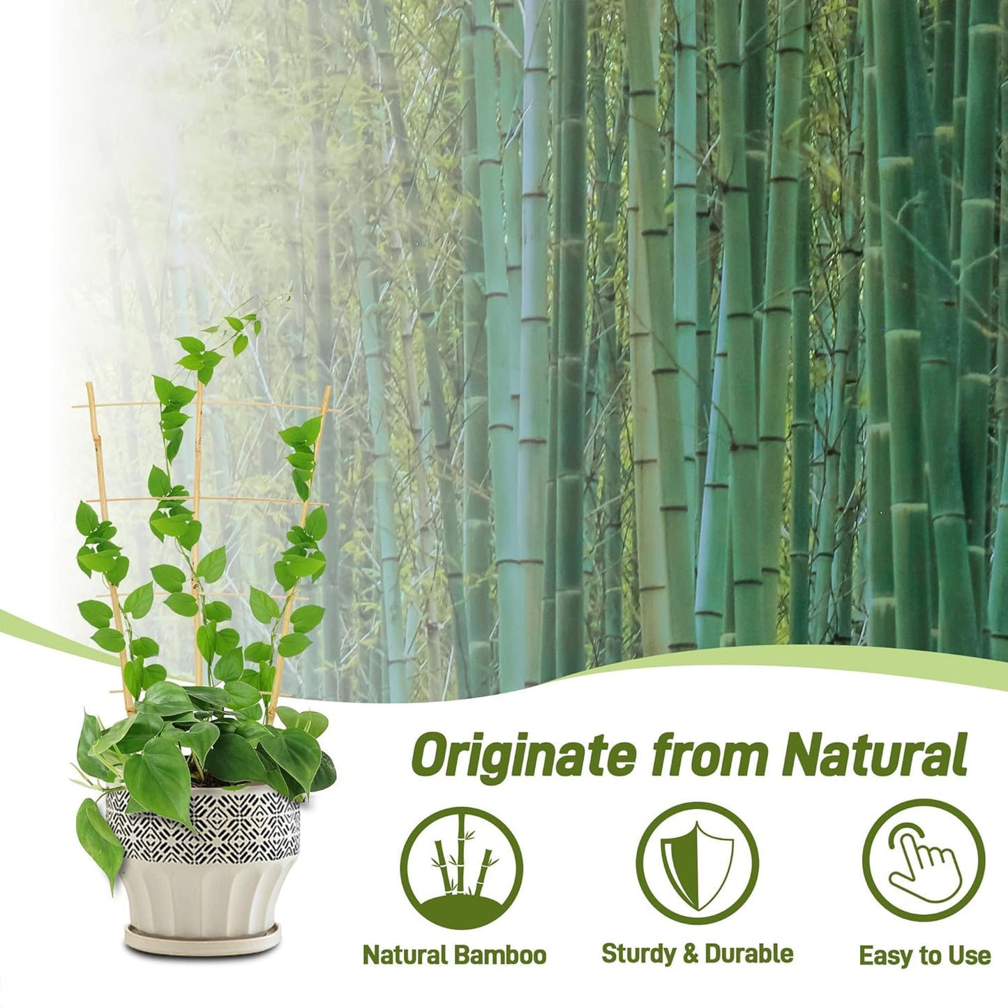 Avalution 10 Pack Bamboo Trellis for Climbing Plants, 2 FT Garden Ladder Trellis for Potted Plants Indoor, Fan-Shaped Small Plant Support Trellis for Houseplants Ivy Hoya Vine Monstera