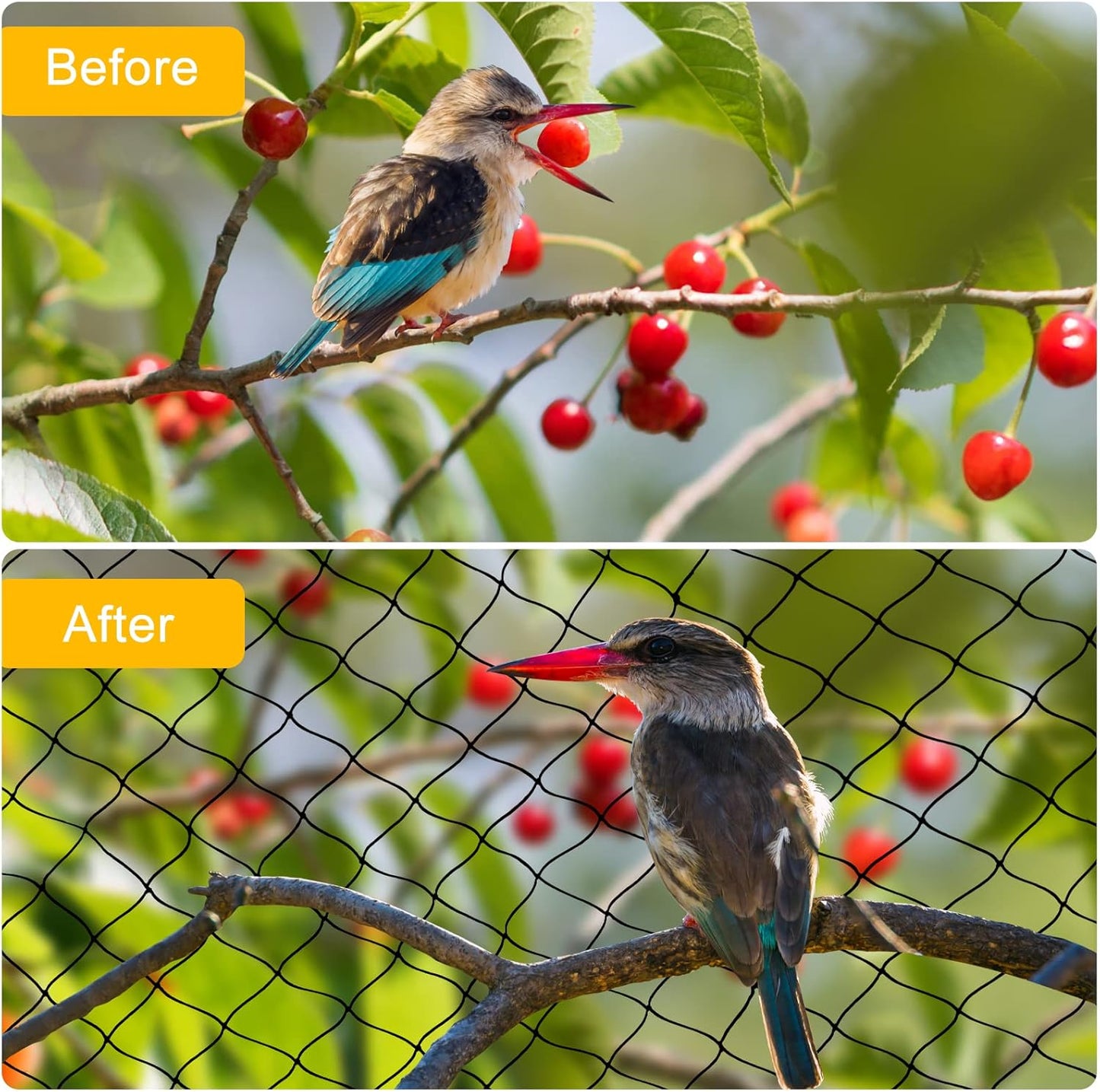 Bird Netting 50ft x 100ft, Heavy Duty Garden Net 1 inch Mesh Nylon Nettings for Chicken Coop Roof, Poultry Netting Deer Fence Trellis Net for Fruits Trees Plants