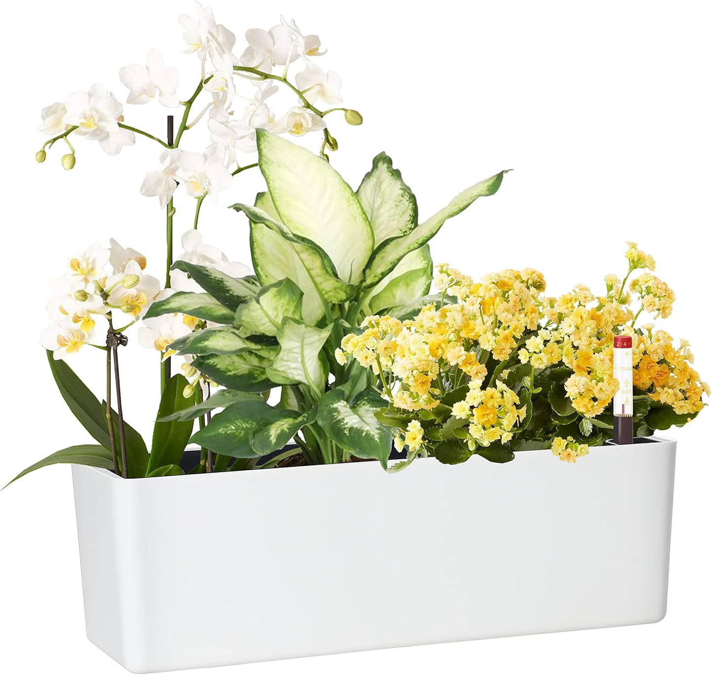 GardenBasix Elongated Self Watering Planter Pots Window Box 5.5 x 16 inch Indoor Home Garden Modern Decorative Planter Pot for All House Plants Flowers Herbs (White,1-Pack)