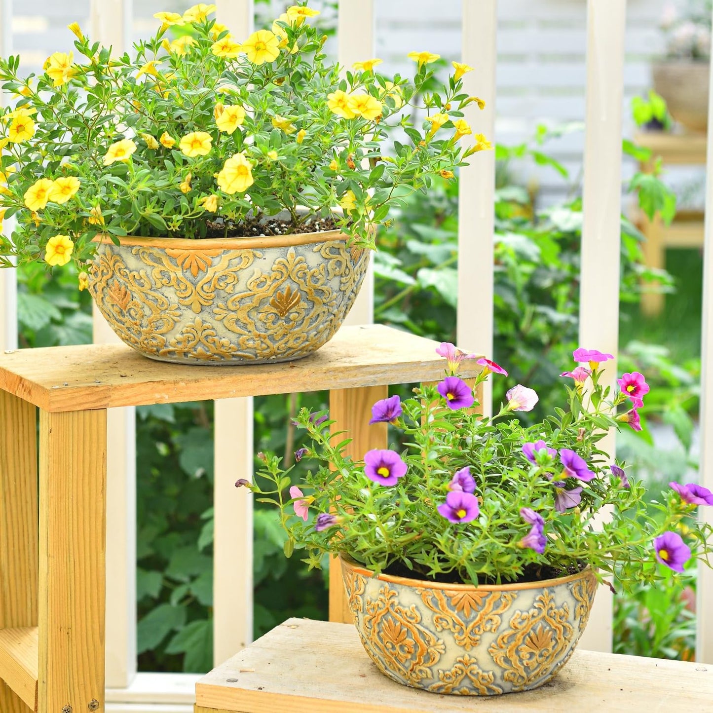 Sungmor Cement Planter Succulent Pots, Set of 3 Concrete Cactus Plant Pot with Drainage Hole, Embossed Design Flower Pot for Home Office Decor, 5.9" & 7.5" & 9.4" Indoor Outdoor Plants Container